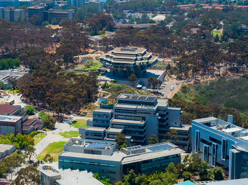 壁紙 — 現代大學校園的鳥瞰圖，玻璃建築物坐落在茂密的樹木之間，在明亮的日光下。