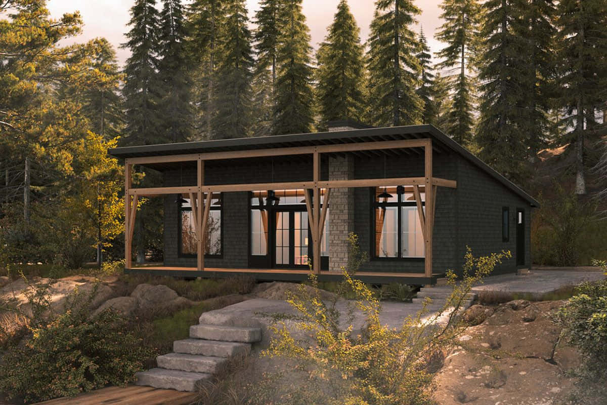 Cottage 桌布 壁紙 — 現代小屋，深色牆板配木樑，隱藏在金色時刻的高大松樹之間。