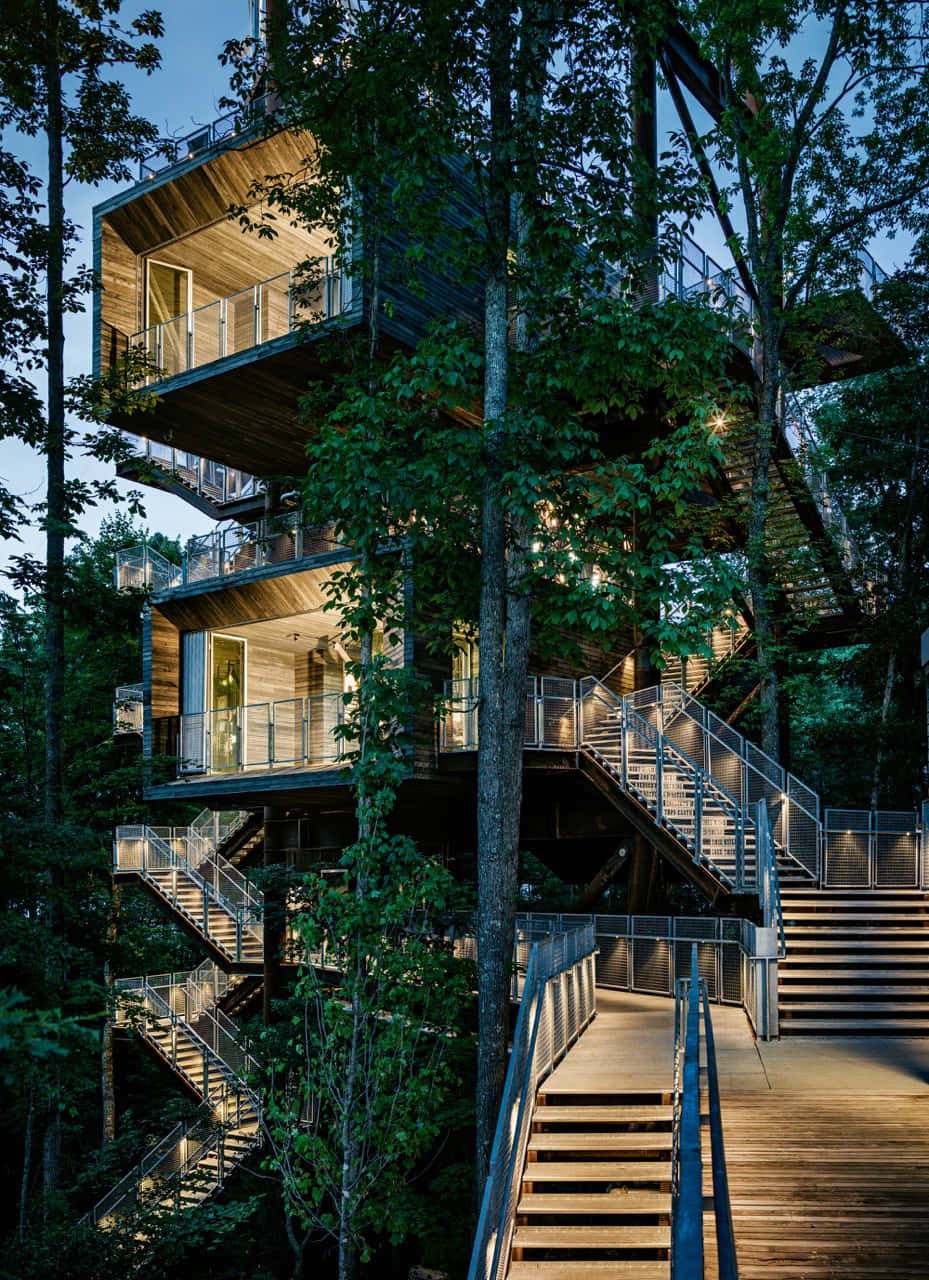 Green Buildings 桌布 壁紙 — 現代樹屋酒店，在暮色中隱藏在高大的綠樹之間，設有發光的木製陽台和樓梯。