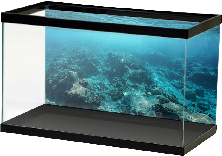 Aquarium 桌布 壁紙 — 現代水族館展示了一個充滿活力的珊瑚礁場景，有藍綠色的水和岩石 formations。