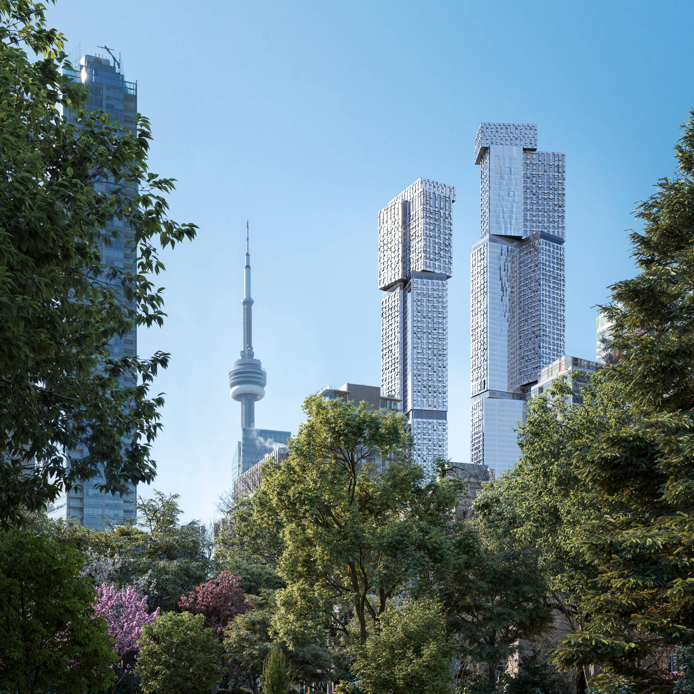 high rise 桌布 壁紙 — 現代玻璃摩天大樓和CN塔在晴朗的藍天下，聳立在茂密的綠樹之上。