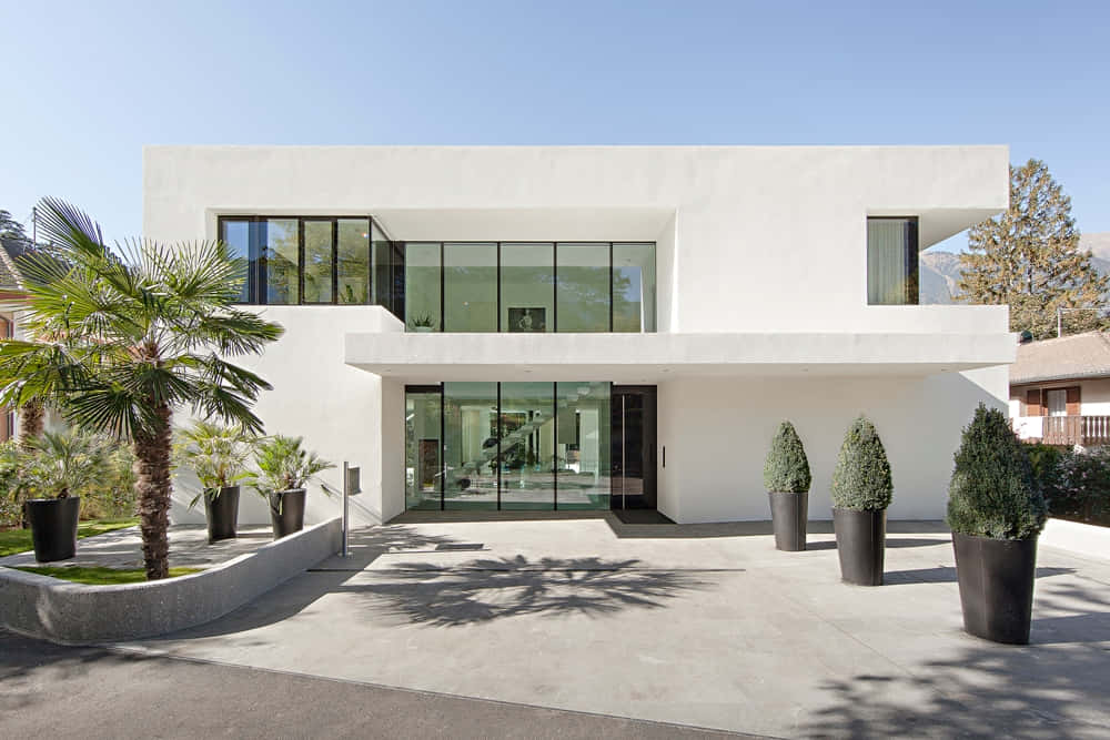 Nice Houses 桌布 壁紙 — 現代白色房屋，玻璃牆和盆栽棕櫚樹，在清澈藍天下。