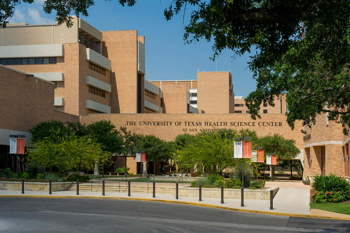 San Antonio 桌布 壁紙 — 現代磚砌大學建築，在晴朗藍天下，被茂密綠樹和鋪砌步道環繞。