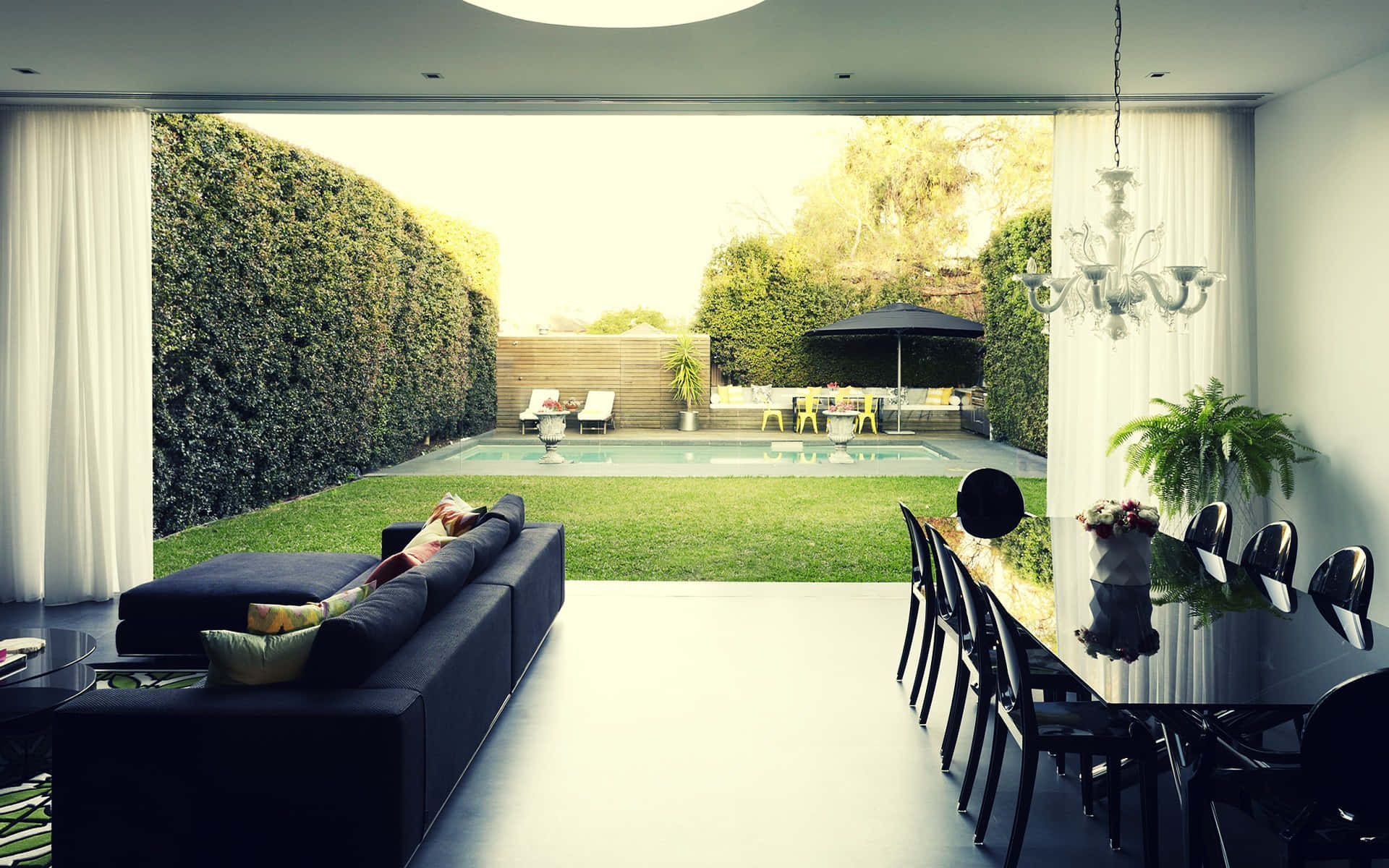 Interior Design 桌布 壁紙 — 現代開放式起居空間連接到一個鬱鬱蔥蔥的綠色後院，設有游泳池和躺椅，在明亮的日光下。