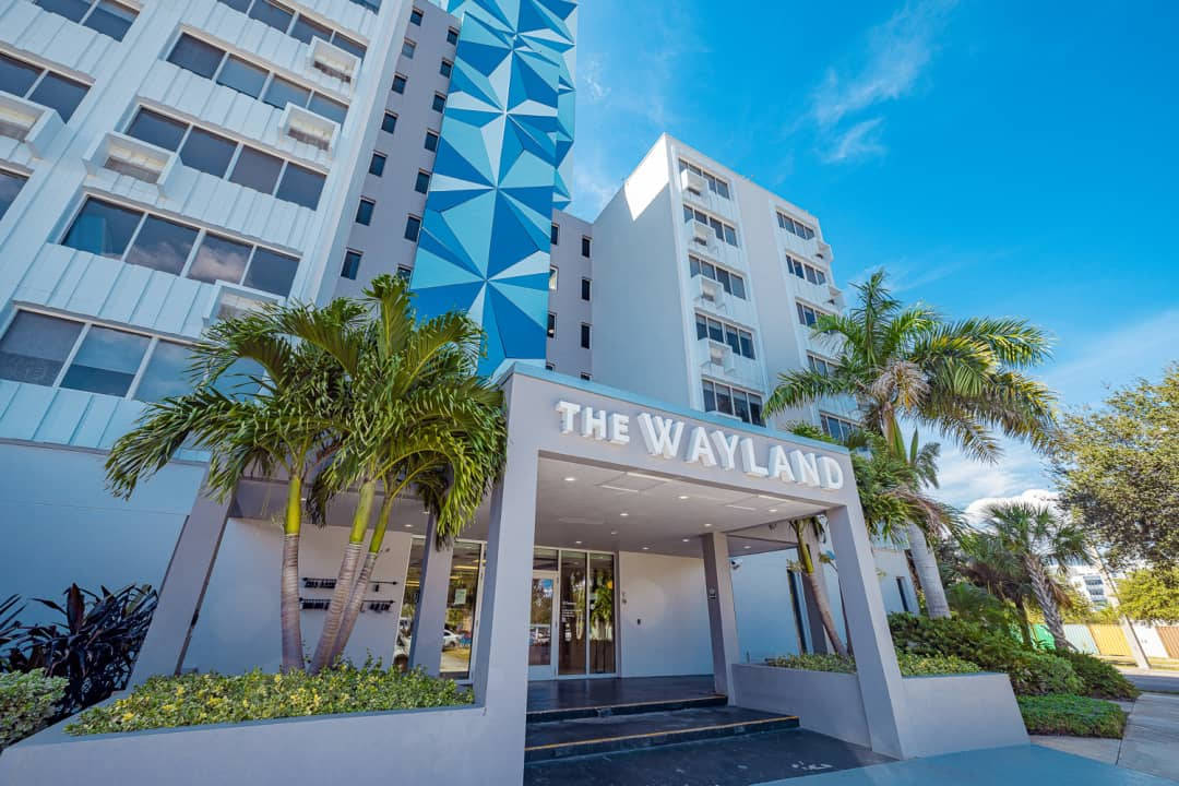 Hotel 桌布 壁紙 — 現代飯店入口，藍色幾何外牆和棕櫚樹在明亮的藍天下。