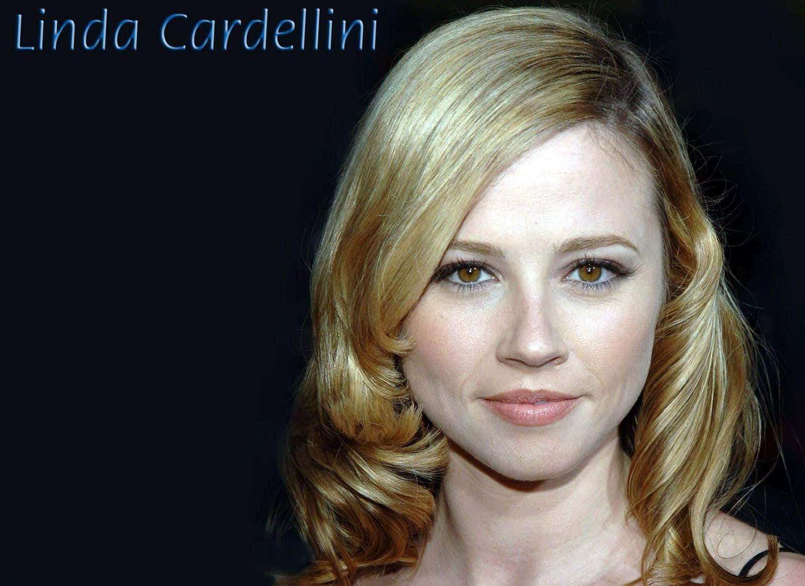 linda cardellini 桌布 壁紙 — 琳達·卡德利尼的頭像特寫，金色波浪頭髮和溫暖的棕色眼睛，背景為深色。