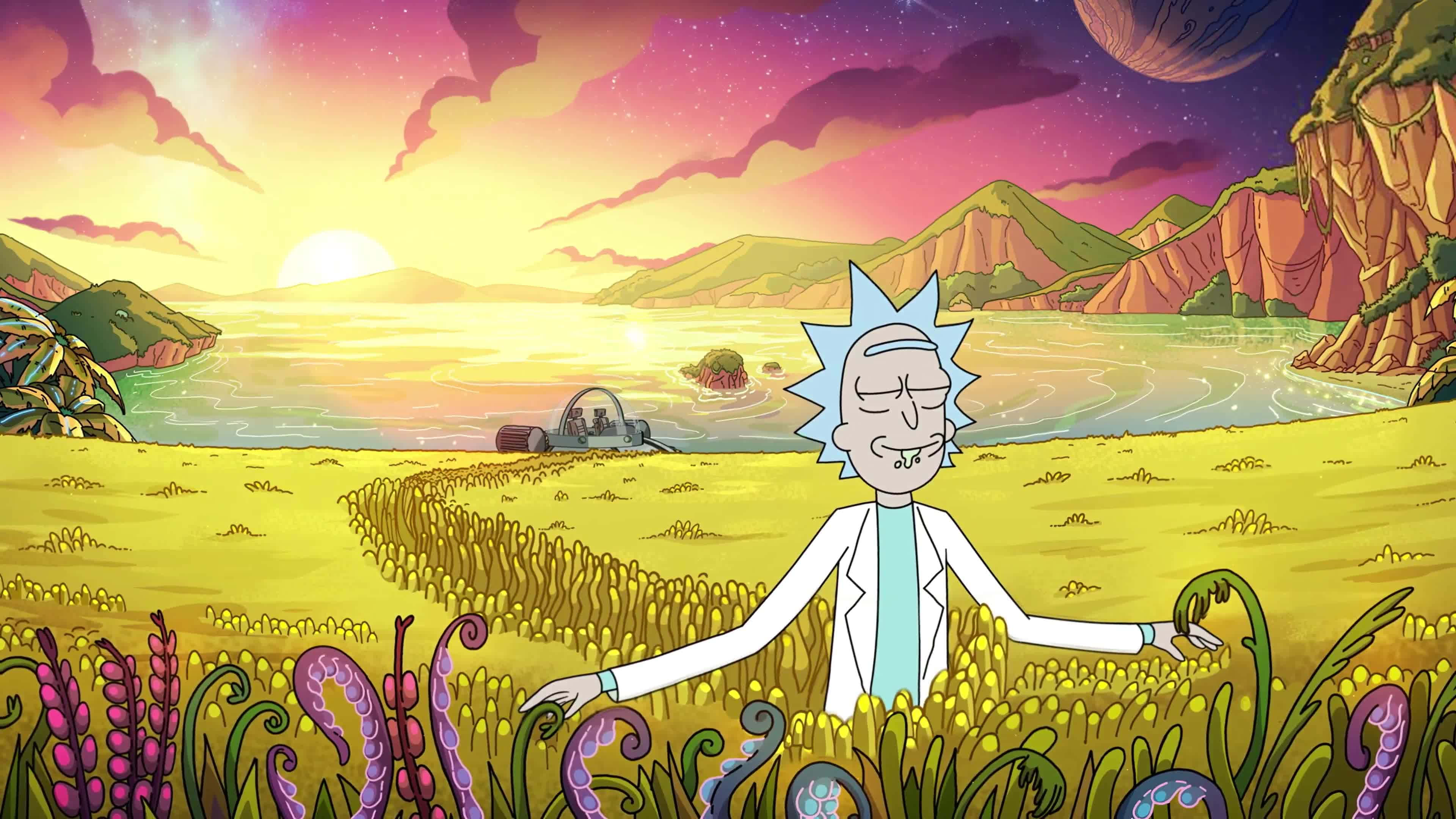 Cartoon Alien 桌布 壁紙 — 瑞克·桑切斯站在日落時分充滿活力的外星田野中，背景有太空船和遠處的山脈，上方是繁星點點的紫色天空。