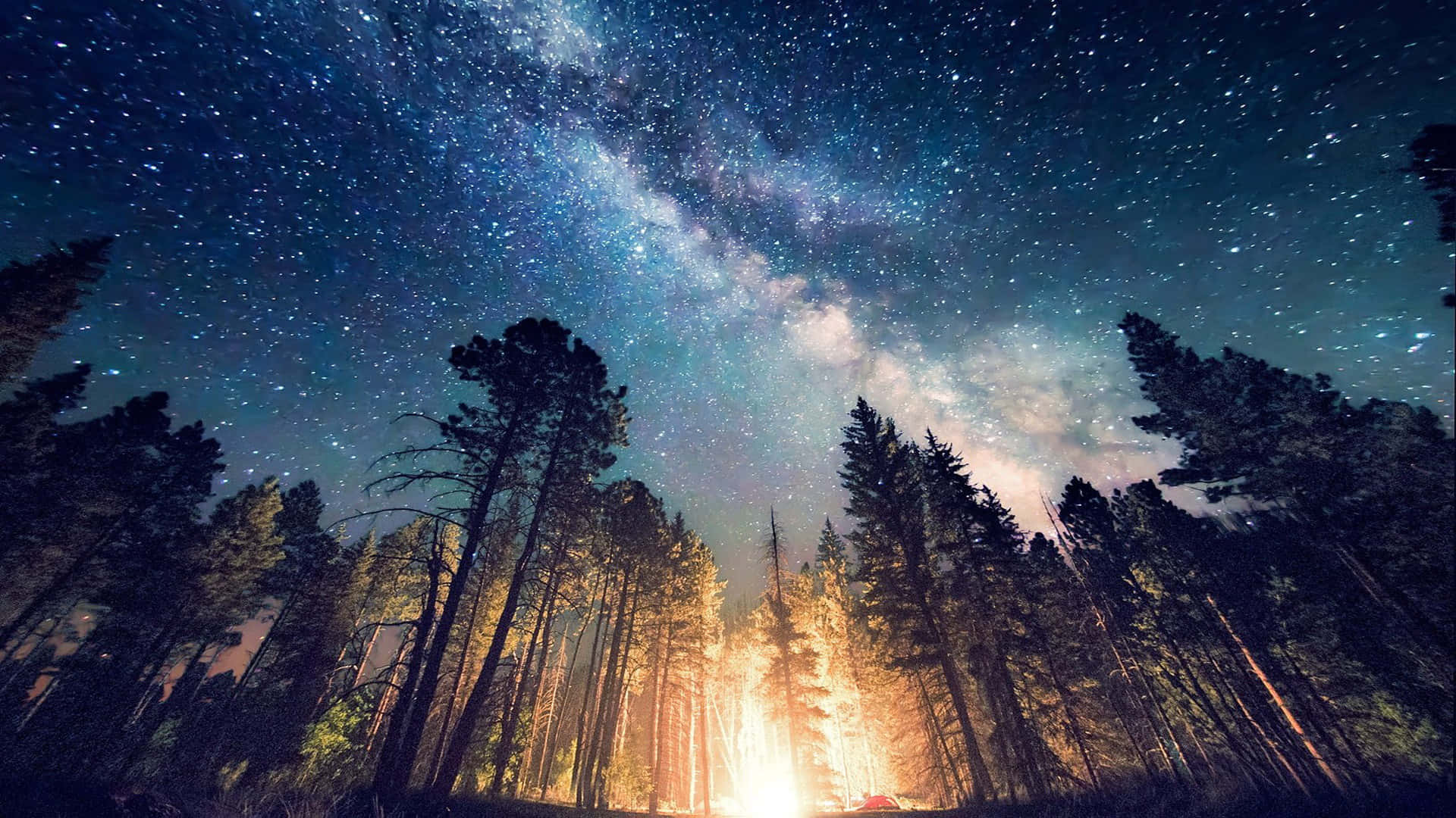 Starry Night Sky 桌布 壁紙 — 璀璨的銀河拱跨森林，營火在高聳的松樹間溫暖地閃爍，星空下。