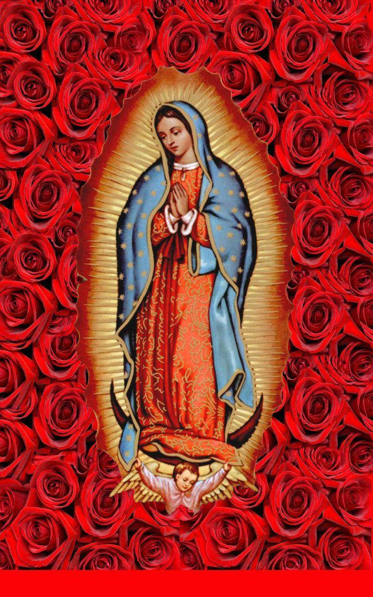 Catholic 桌布 壁紙 — 瓜達盧佩聖母在祈禱中，被耀眼金色光環和濃密紅玫瑰環繞。