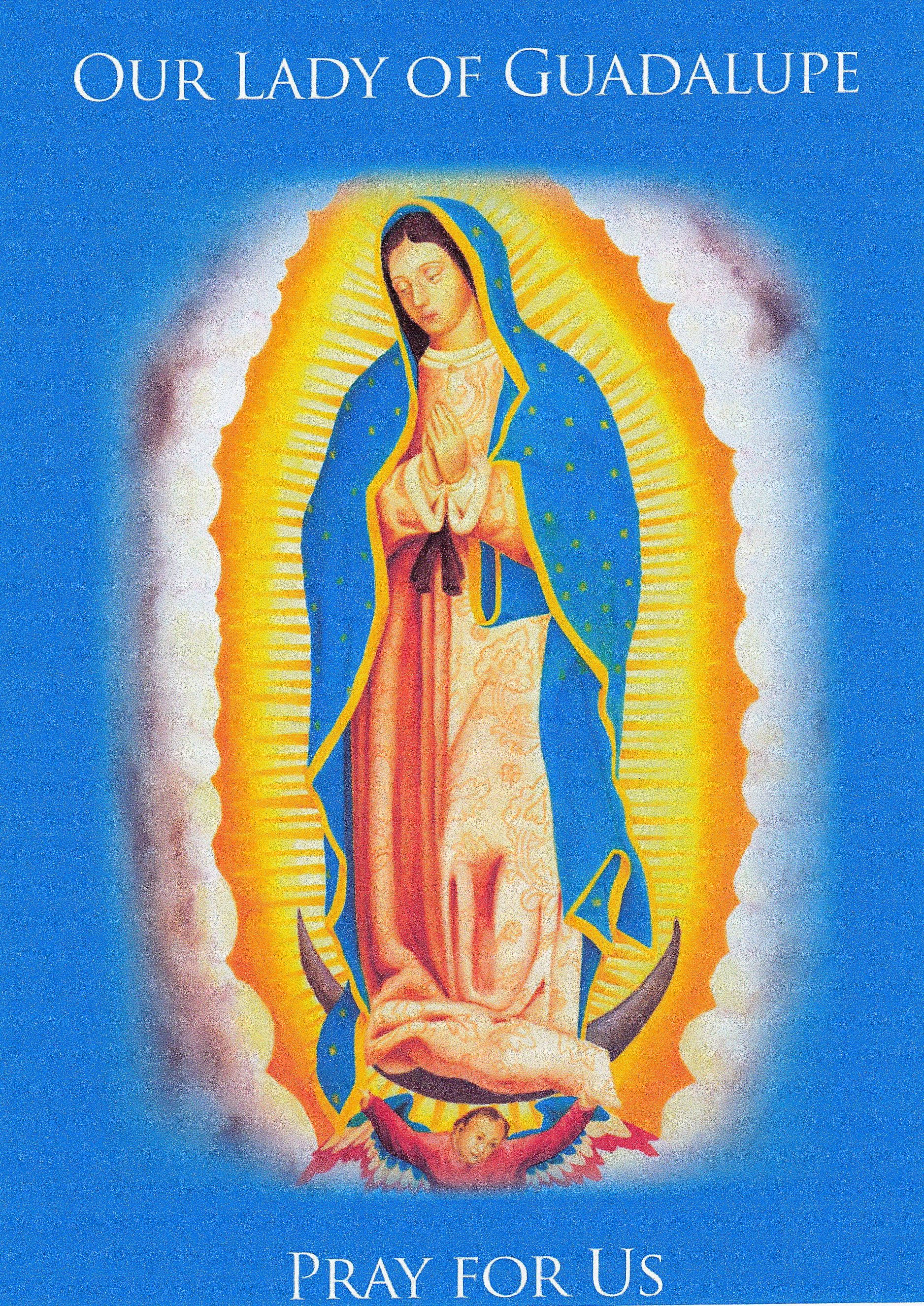 Catholic 桌布 壁紙 — 瓜達盧佩聖母身穿藍色斗篷和粉紅長袍，在藍天白雲的映襯下散發神聖光芒。