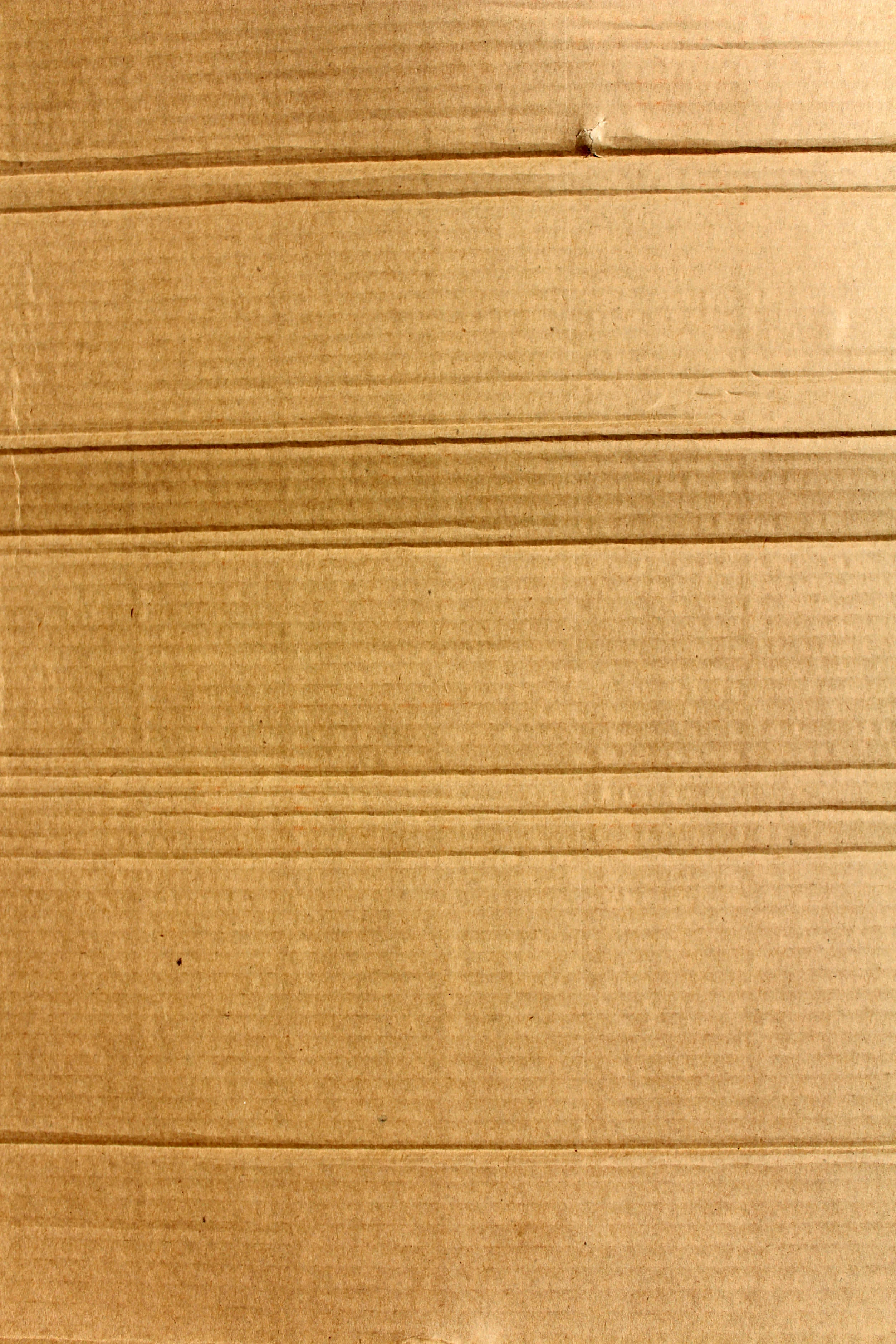 cardboard 桌布 壁紙 — 瓦楞紙板紋理的近距離特寫，具有平行脊線和自然棕色色調。