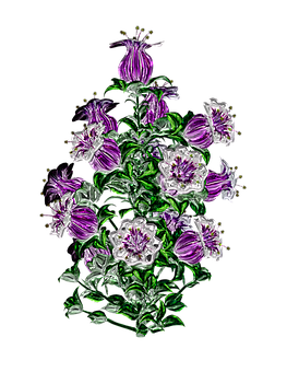 生動紫色花朵藝術作品 — 花 壁紙