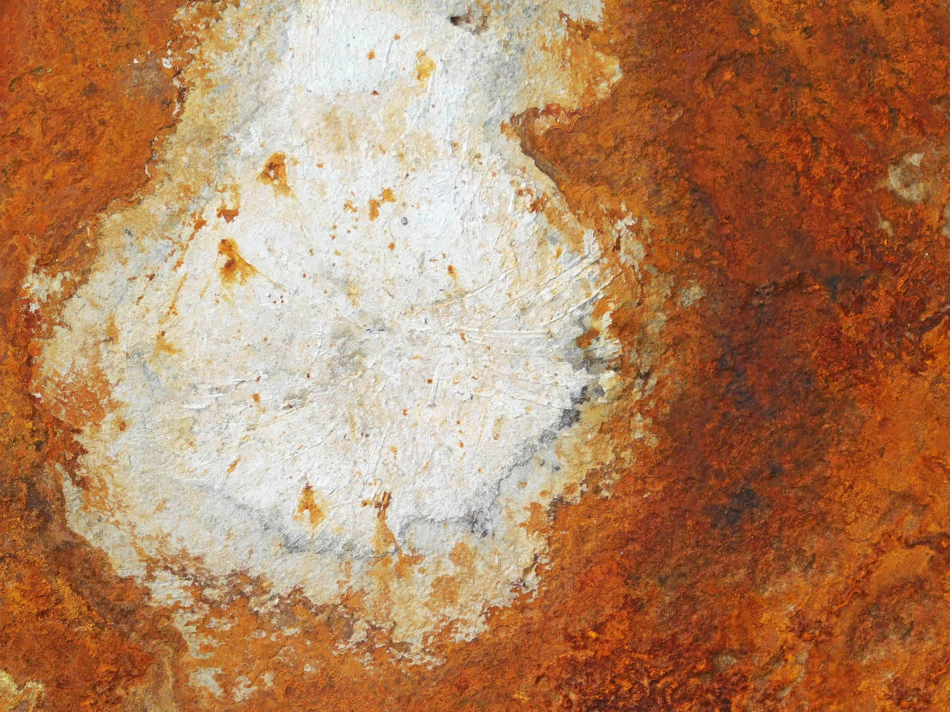 Metal texture 壁紙 — 生鏽金屬表面的特寫，有一大片白色剝落油漆，周圍是橙色和棕色的腐蝕。