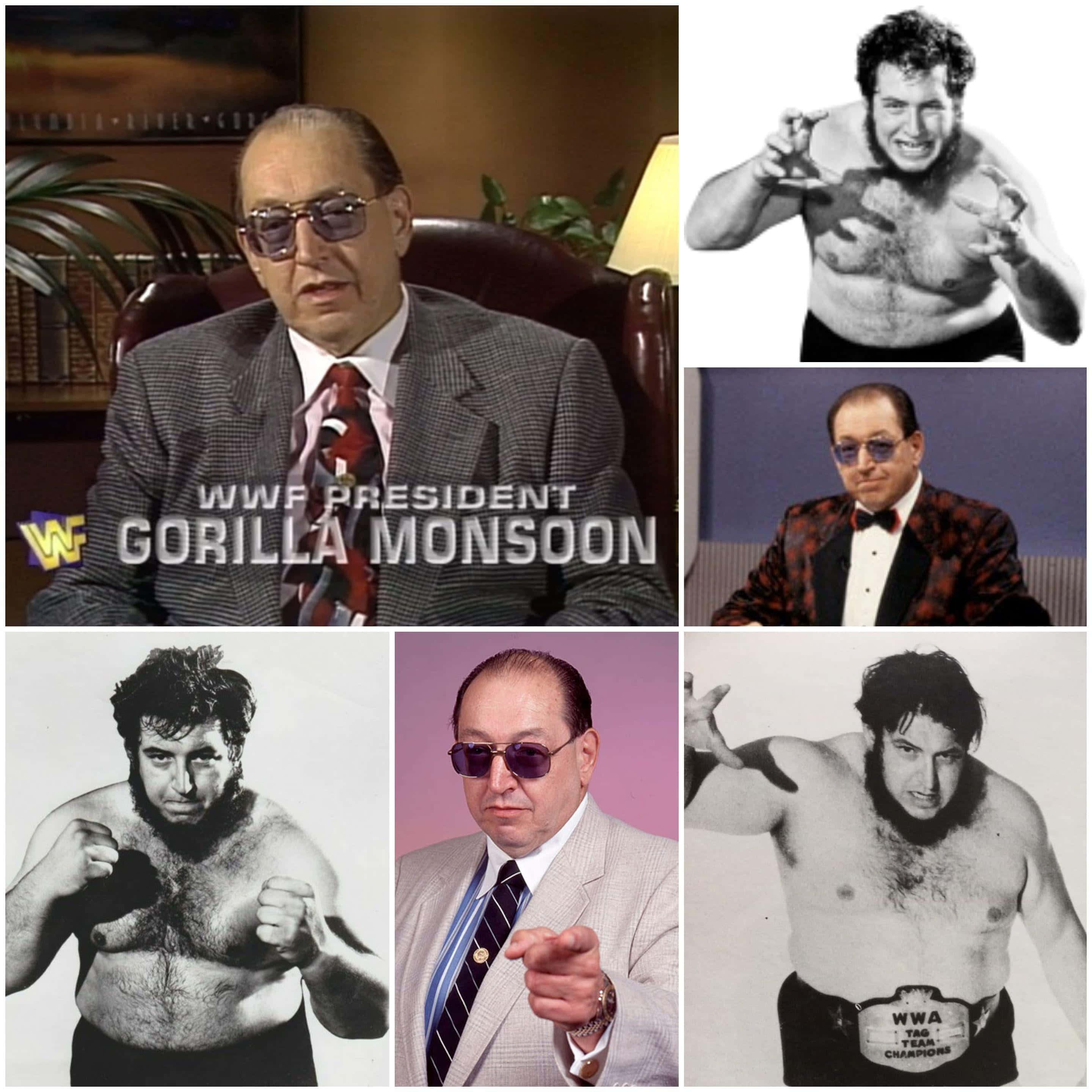Gorilla Monsoon 桌布 壁紙 — 由六張照片組成的拼貼畫，展示摔角手 Gorilla Monsoon 在各種姿勢和服裝中，包括西裝、太陽眼鏡和冠軍腰帶。