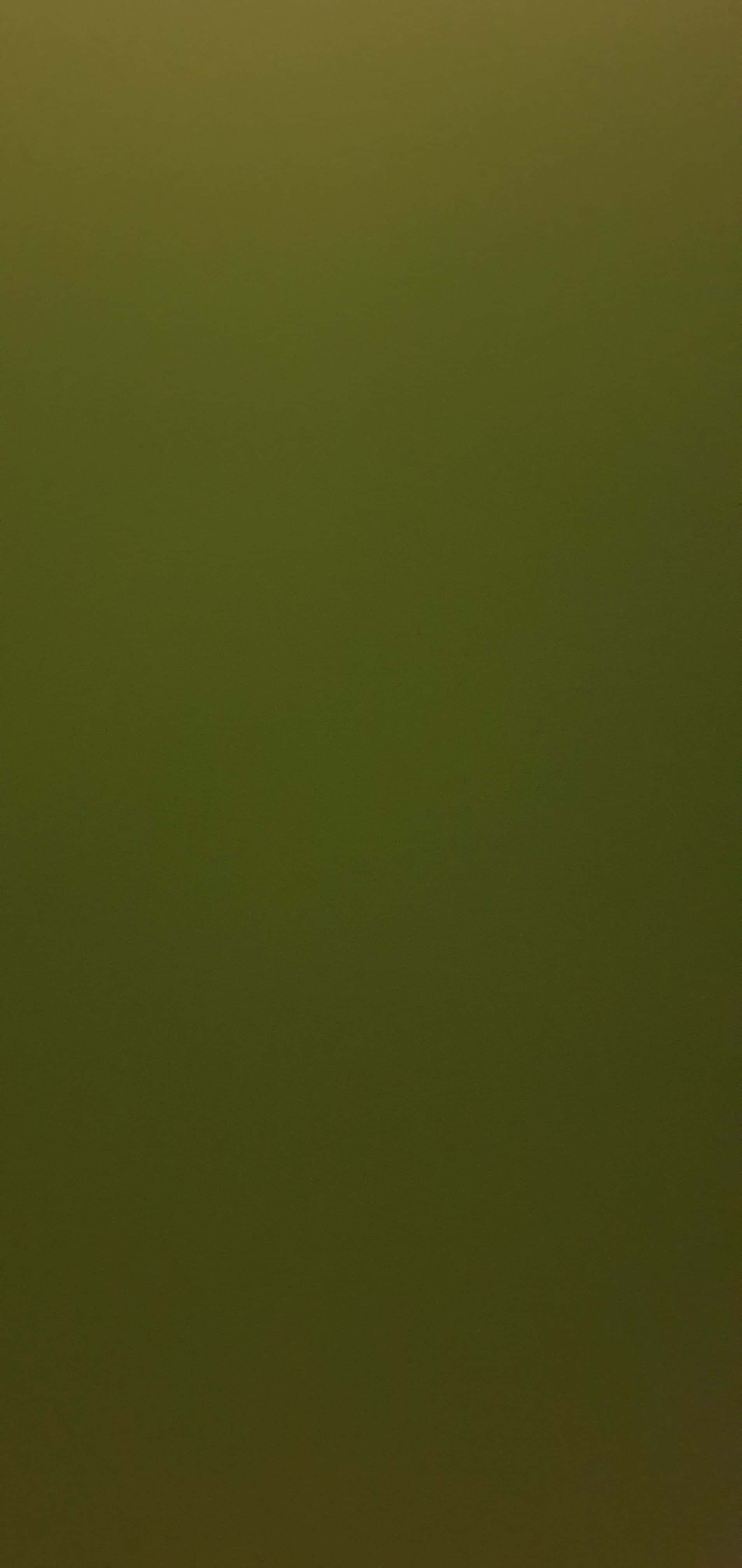 Olive Green 桌布 壁紙 — 由柔和橄欖綠組成的純色漸變，從上到下微妙地褪色。