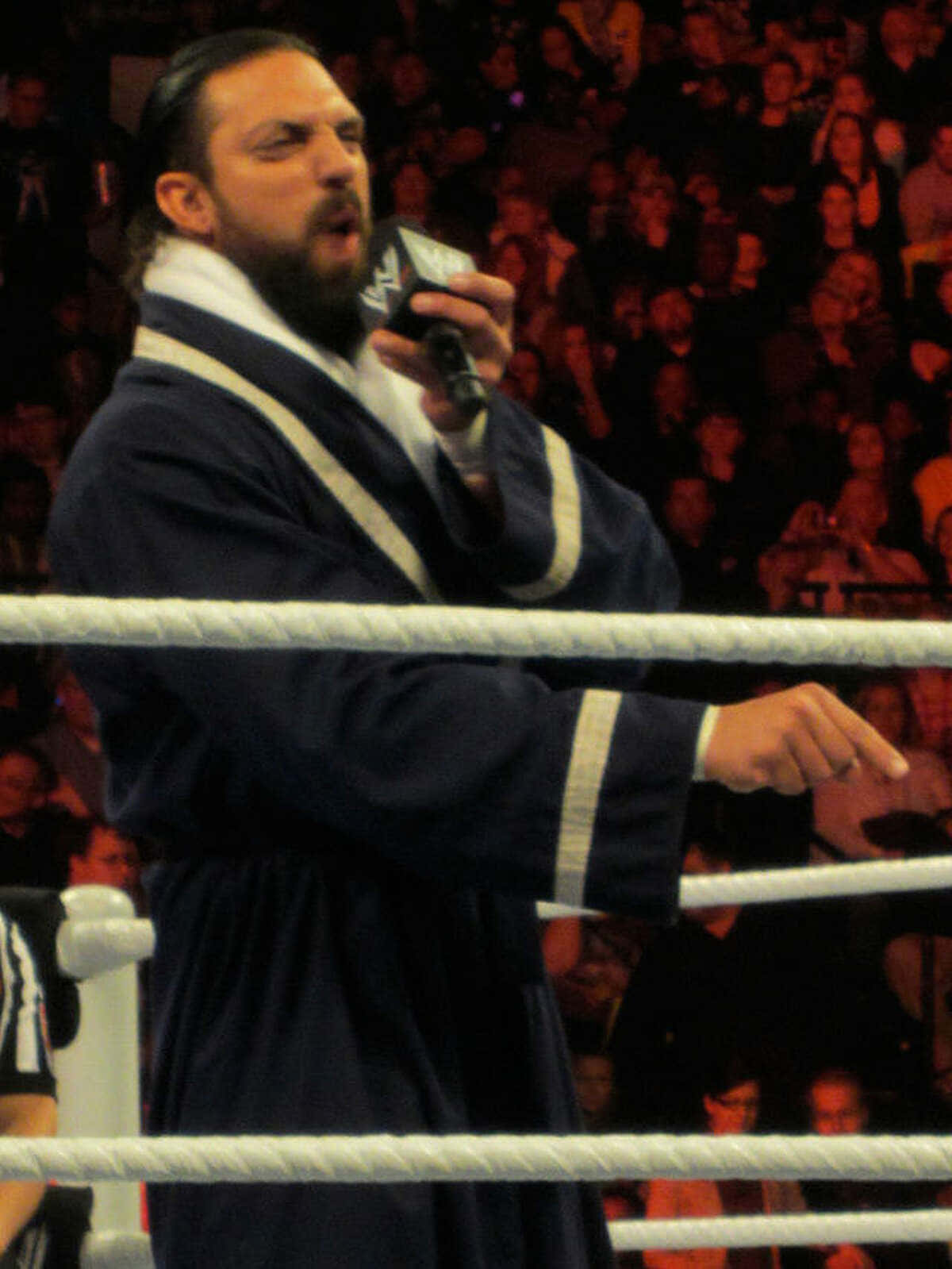 WWE 桌布 壁紙 — 留鬍鬚的摔角手身穿藍色長袍，在擂台上拿著麥克風指向燈光下的觀眾。