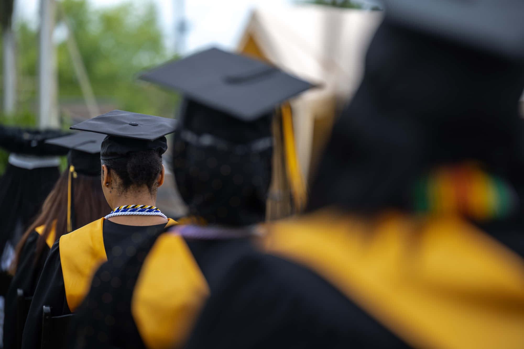 Graduation Ceremony 桌布 壁紙 — 畢業生戴著黑色方帽、穿著黃色畢業袍，在儀式中排隊，背景是模糊的綠植。