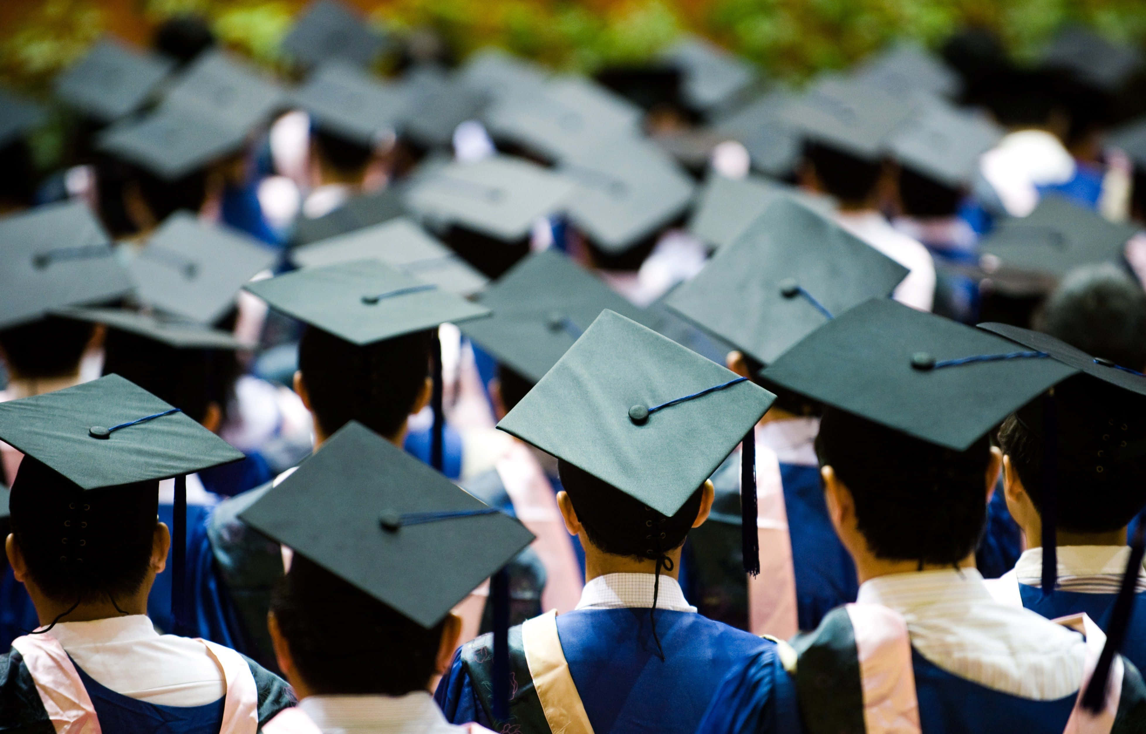 Graduation 桌布 壁紙 — 畢業生戴黑色四方帽、穿藍色畢業袍，站在擁擠的戶外典禮的背面視角。