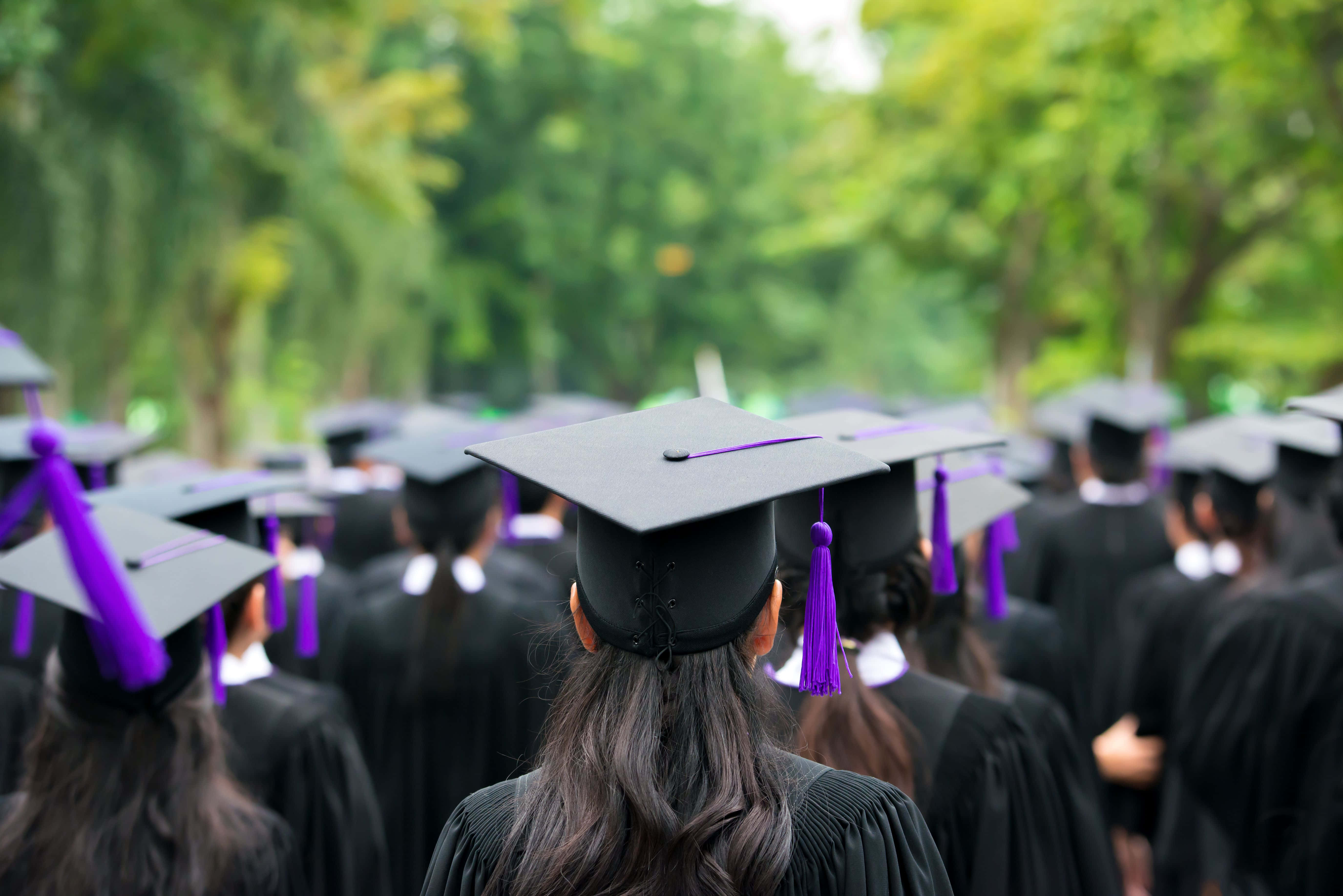 Graduation 桌布 壁紙 — 畢業生身穿黑色學位袍及學士帽，帽上掛著紫色流蘇，在陽光普照的綠色校園小徑上行走的背影。