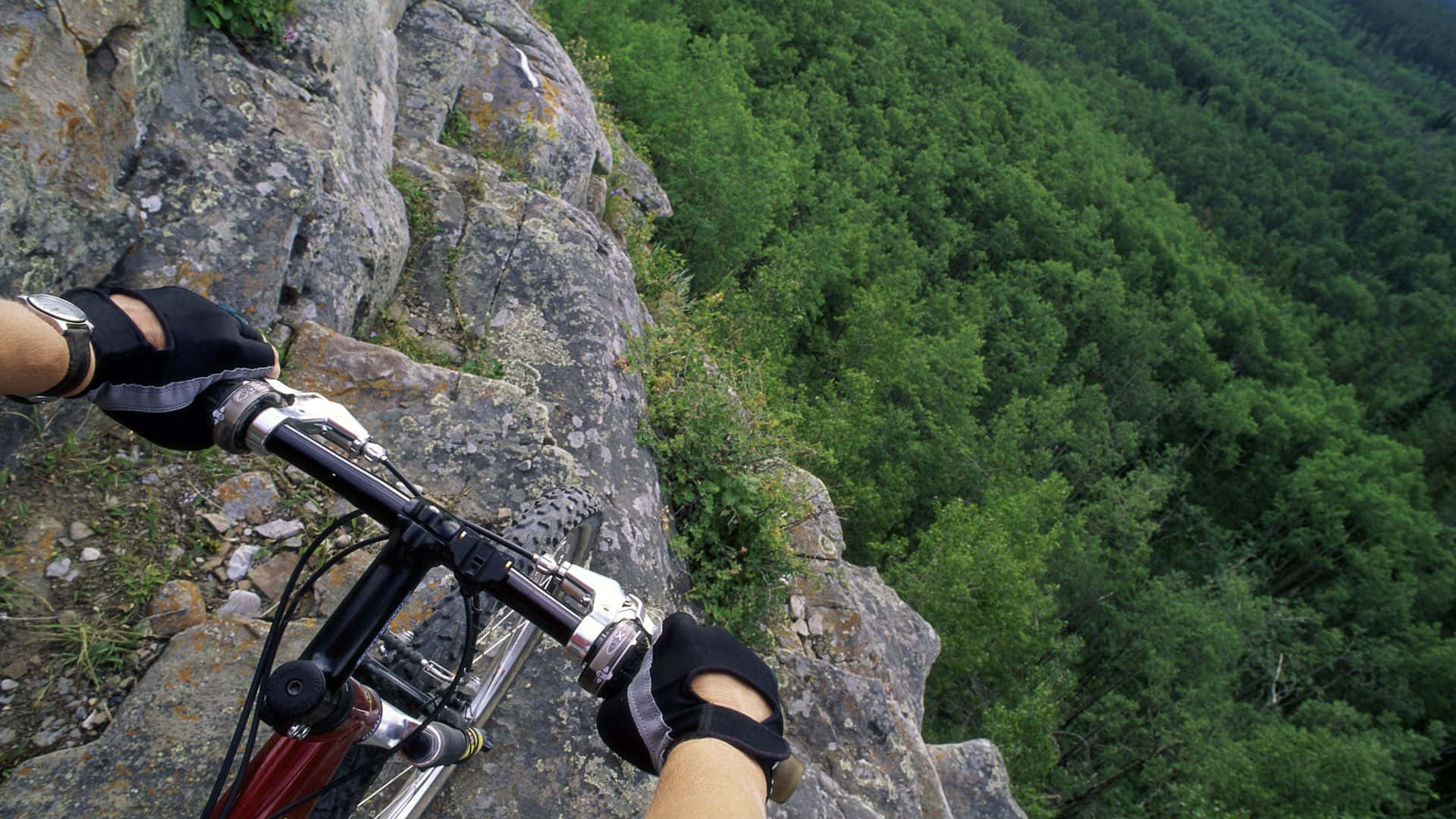 Mtb 桌布 壁紙 — 登山自行車手在岩石懸崖邊緊握把手的第一人稱視角，俯瞰下方茂密的綠色森林。
