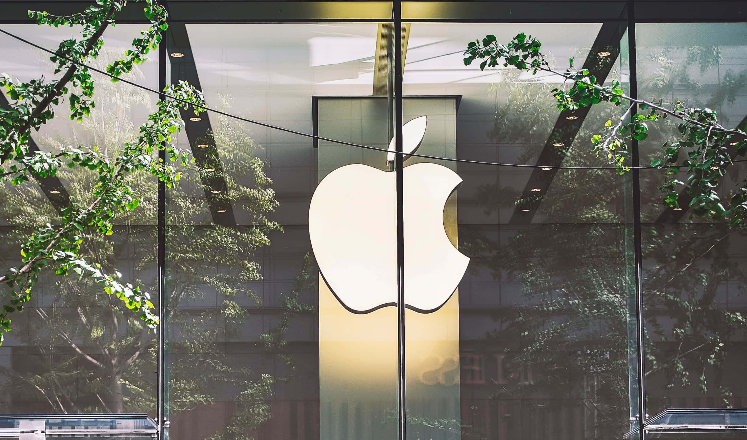 蘋果 桌布 壁紙 — 發光的Apple標誌穿過玻璃店面，被綠色樹枝和倒影框住。