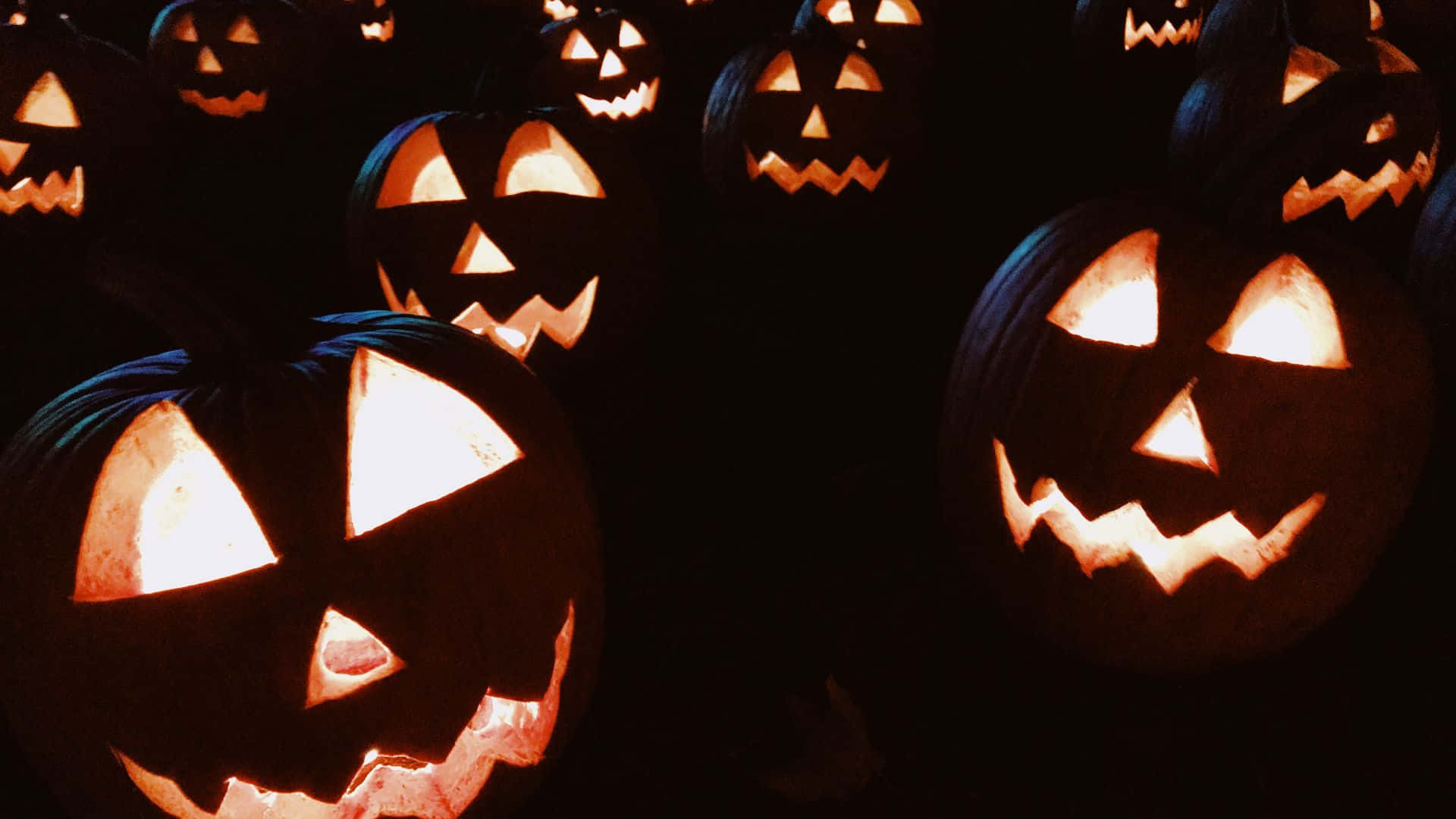 pumpkins 桌布 壁紙 — 發光的傑克南瓜燈，雕刻的臉孔在黑暗背景下散發出溫暖的光芒。
