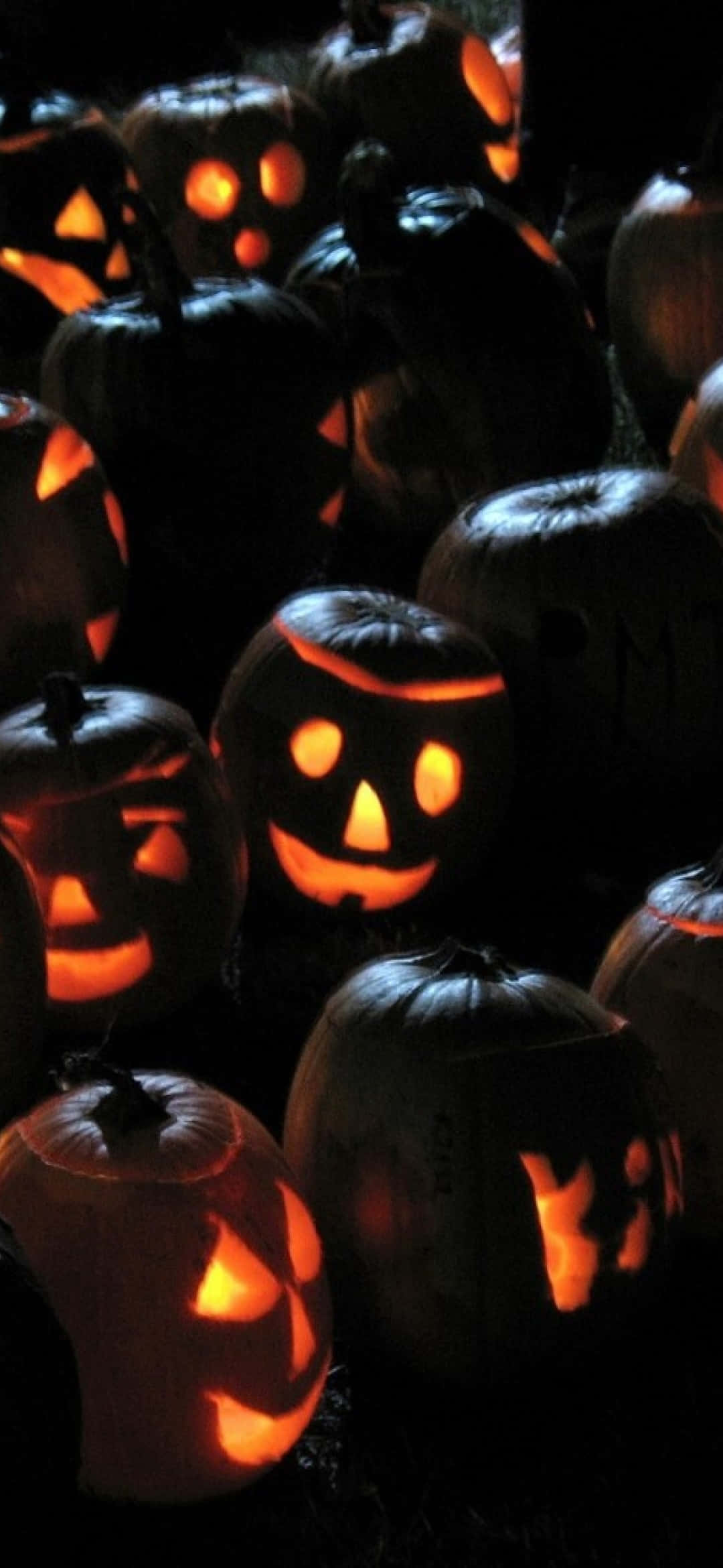 Spooky Halloween 桌布 壁紙 — 發光的傑克南瓜燈帶有雕刻的臉孔，在黑暗背景下散發出溫暖的橙色光芒。