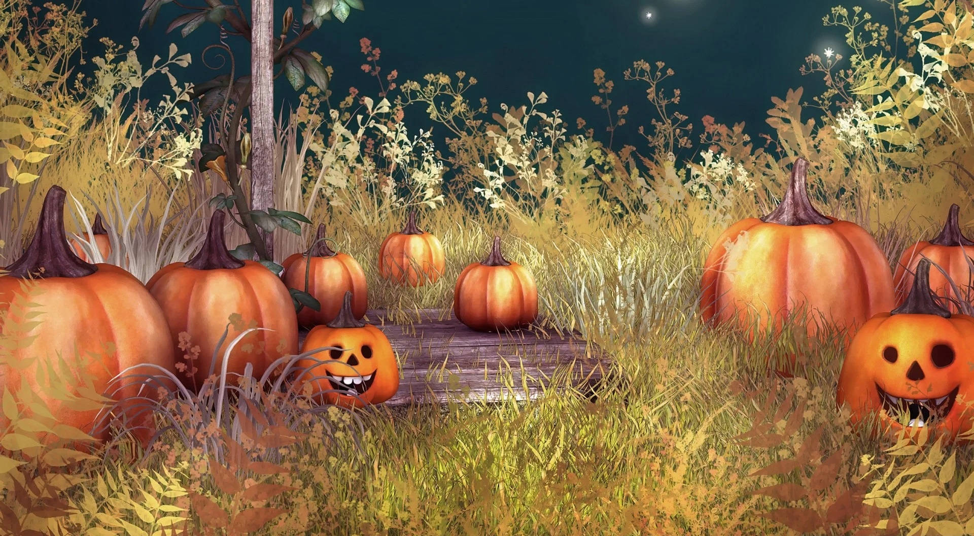 Vintage Halloween 桌布 壁紙 — 發光的傑克南瓜燈帶著咧嘴笑的表情，從高高的草叢中探出頭來，背景是繁星點點的夜空。