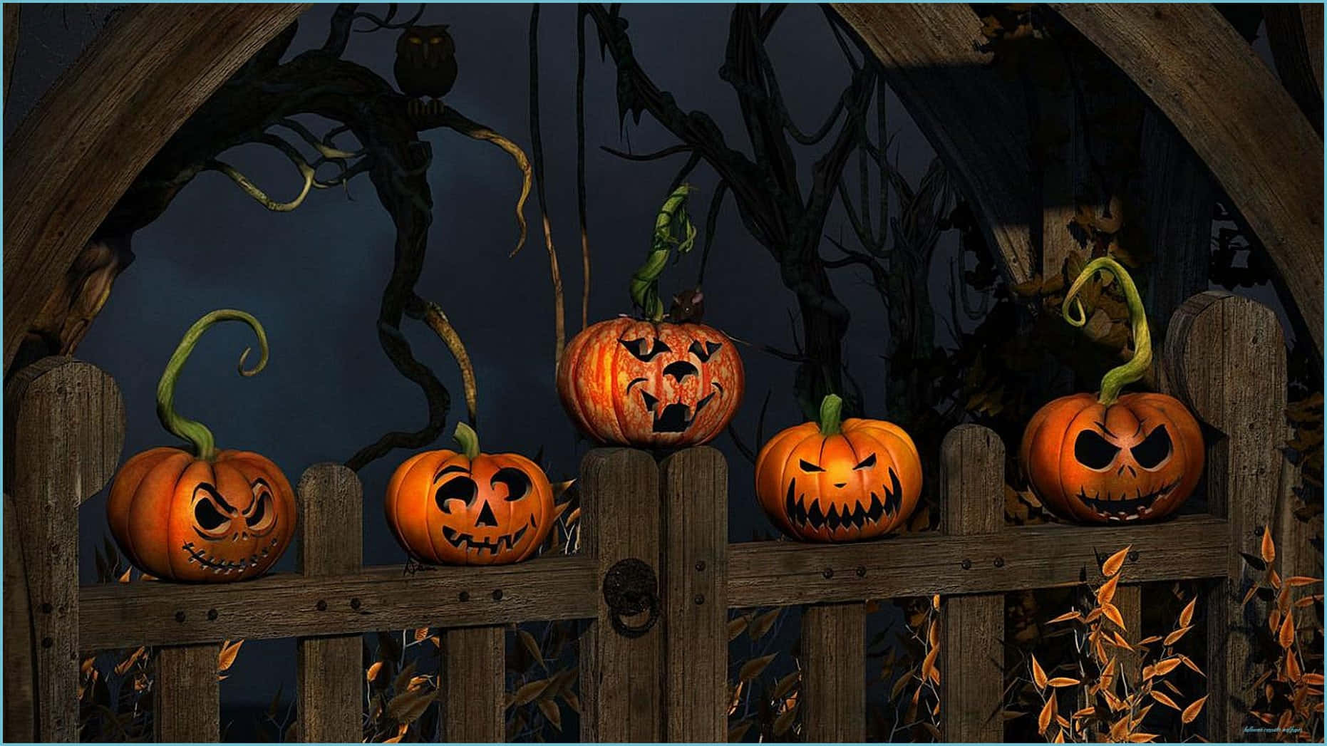 Spooky Halloween 桌布 壁紙 — 發光的傑克南瓜燈帶著邪惡的笑容，坐在一個風化的木柵欄上，背景是黑暗詭異的夜空。