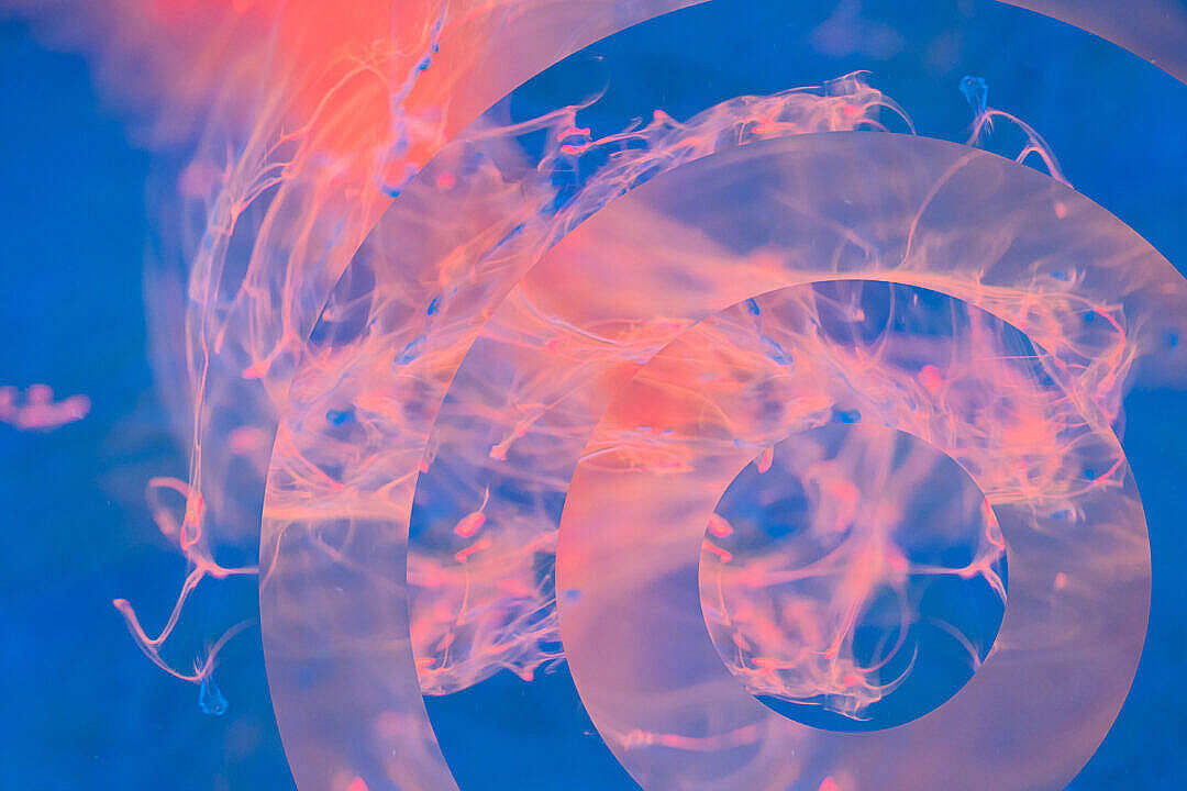 藍色美學 桌布 壁紙 — 發光的粉紅色水母在深藍色水底隧道中飄浮，帶有飄逸的半透明觸手。