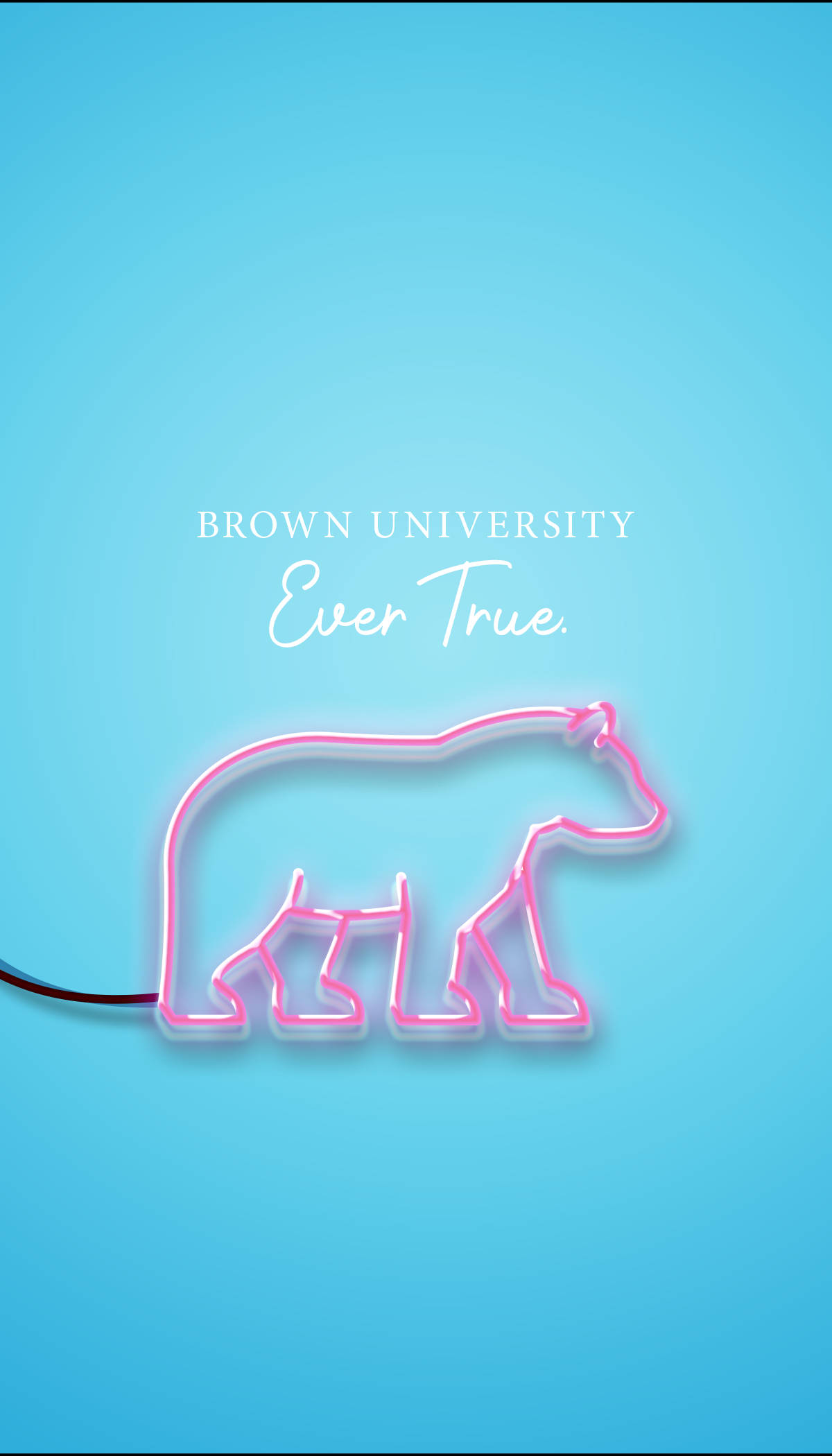 手機 桌布 壁紙 — 發光的粉紅色霓虹燈熊剪影，上面有「BROWN UNIVERSITY Ever True」文字，背景為純藍色。