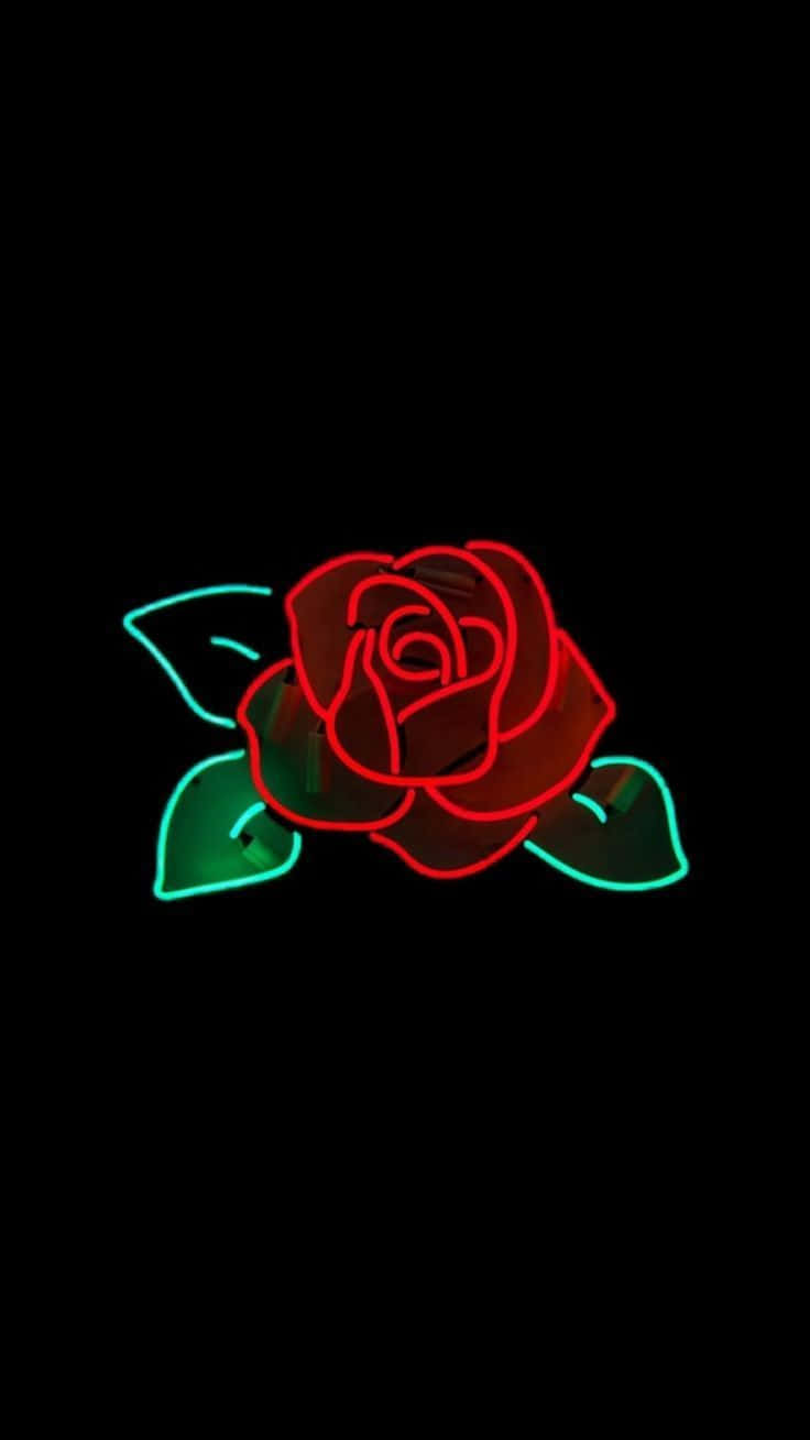 Cool Rose 桌布 壁紙 — 發光的紅綠霓虹玫瑰與葉子在漆黑背景中閃耀。