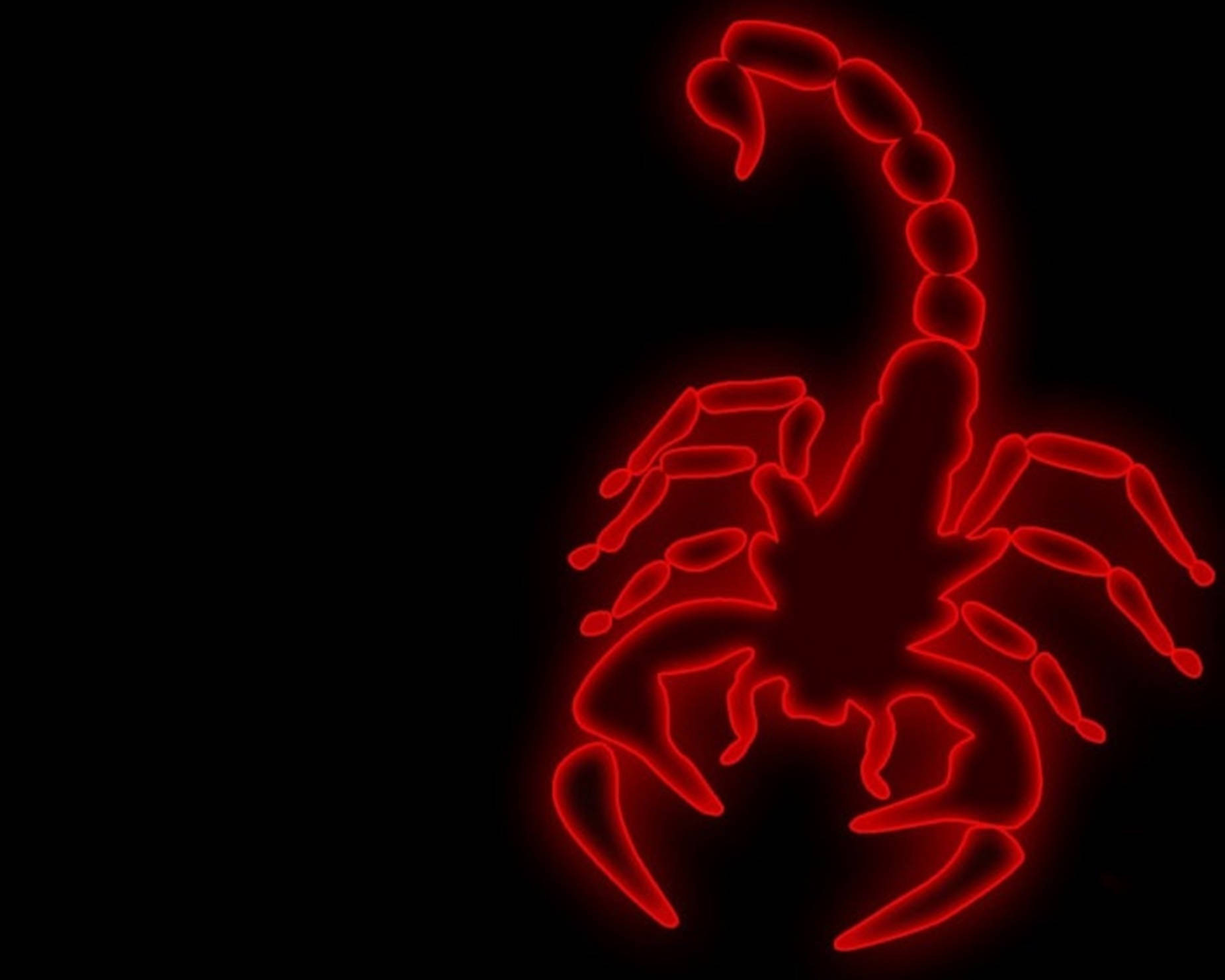 scorpion 桌布 壁紙 — 發光的紅色霓虹蠍子剪影在漆黑的背景上脫穎而出，帶有微弱的發光效果。