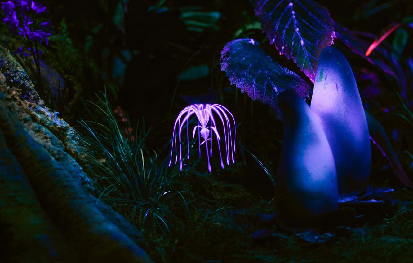 glow 桌布 壁紙 — 發光的紫色真菌和蕨類植物以空靈的生物發光照亮黑暗的森林地面。