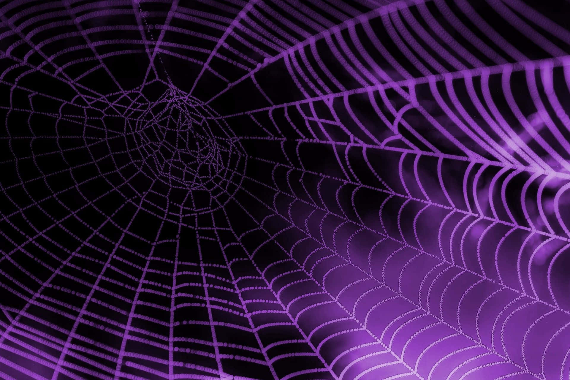 Spider Web 桌布 壁紙 — 發光的紫色蜘蛛網在黑暗背景上散發出複雜的圖案，帶有柔和的光線亮點。