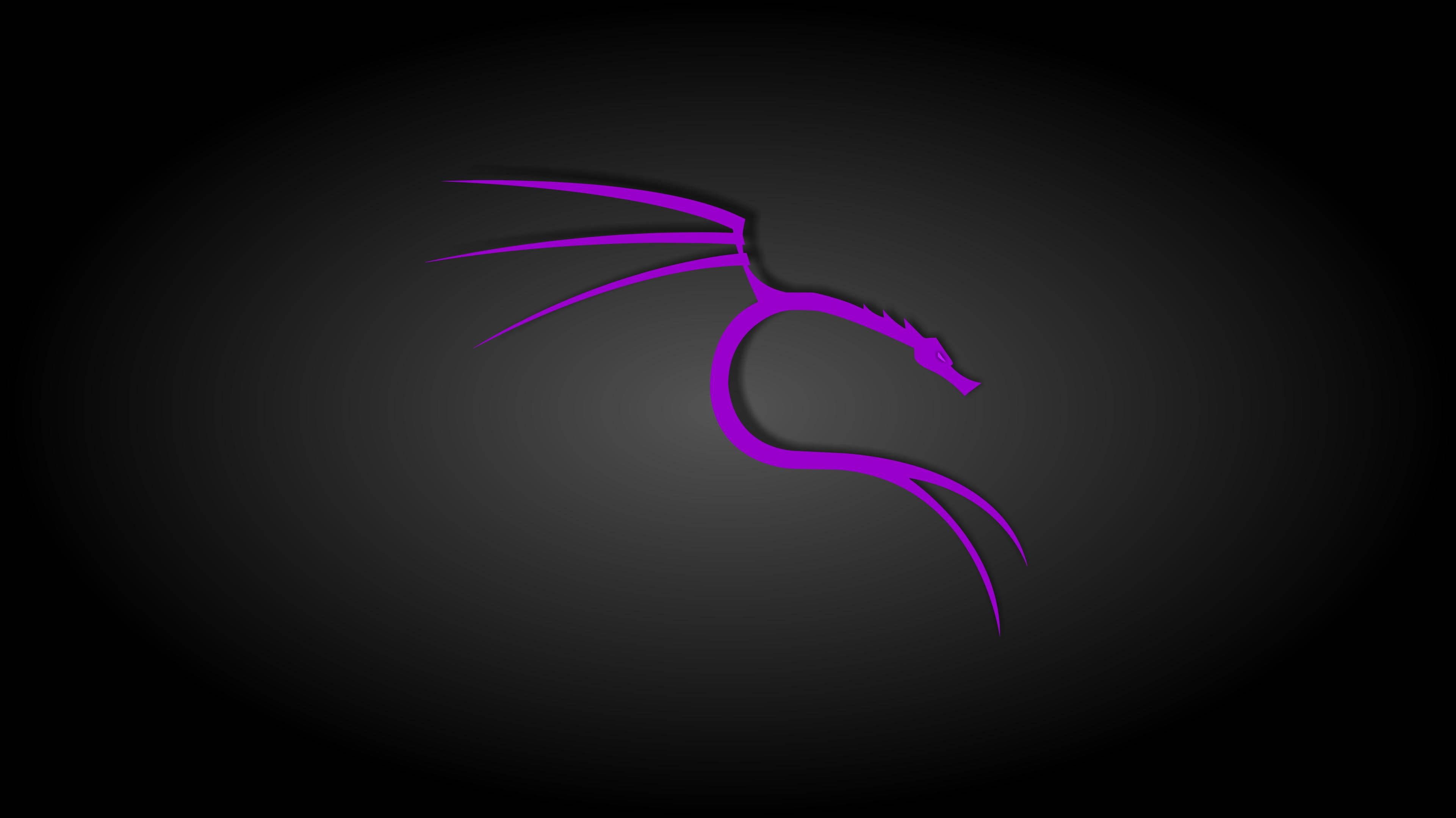 Black And Purple Aesthetic 桌布 壁紙 — 發光的紫色龍剪影在深色漸變背景上優雅彎曲。