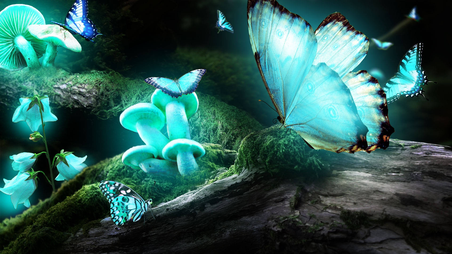 night butterfly 桌布 壁紙 — 發光的綠松石蘑菇和彩虹色的蝴蝶在夜間神秘森林中長滿苔蘚的原木上飛舞。