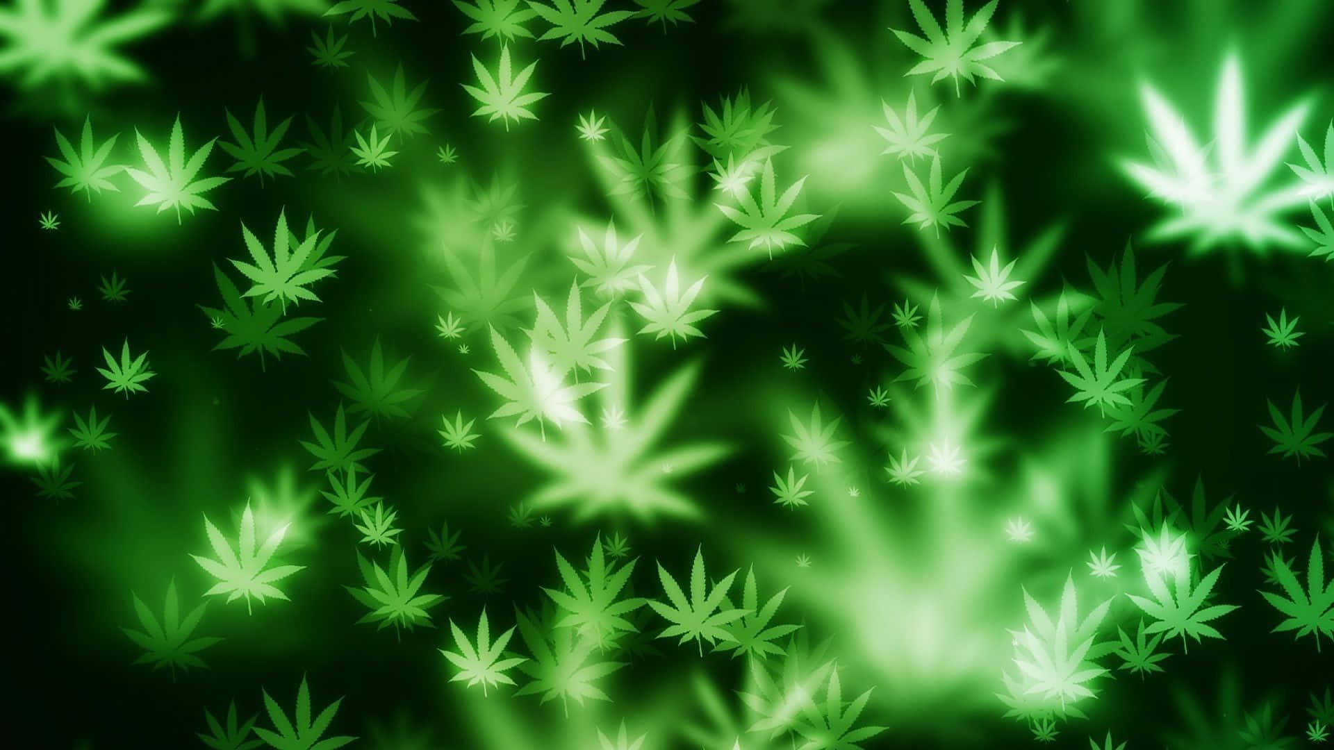 Plant 桌布 壁紙 — 發光的綠色大麻葉在黑暗背景上漂浮並閃爍，形成充滿活力的數位抽象圖案。
