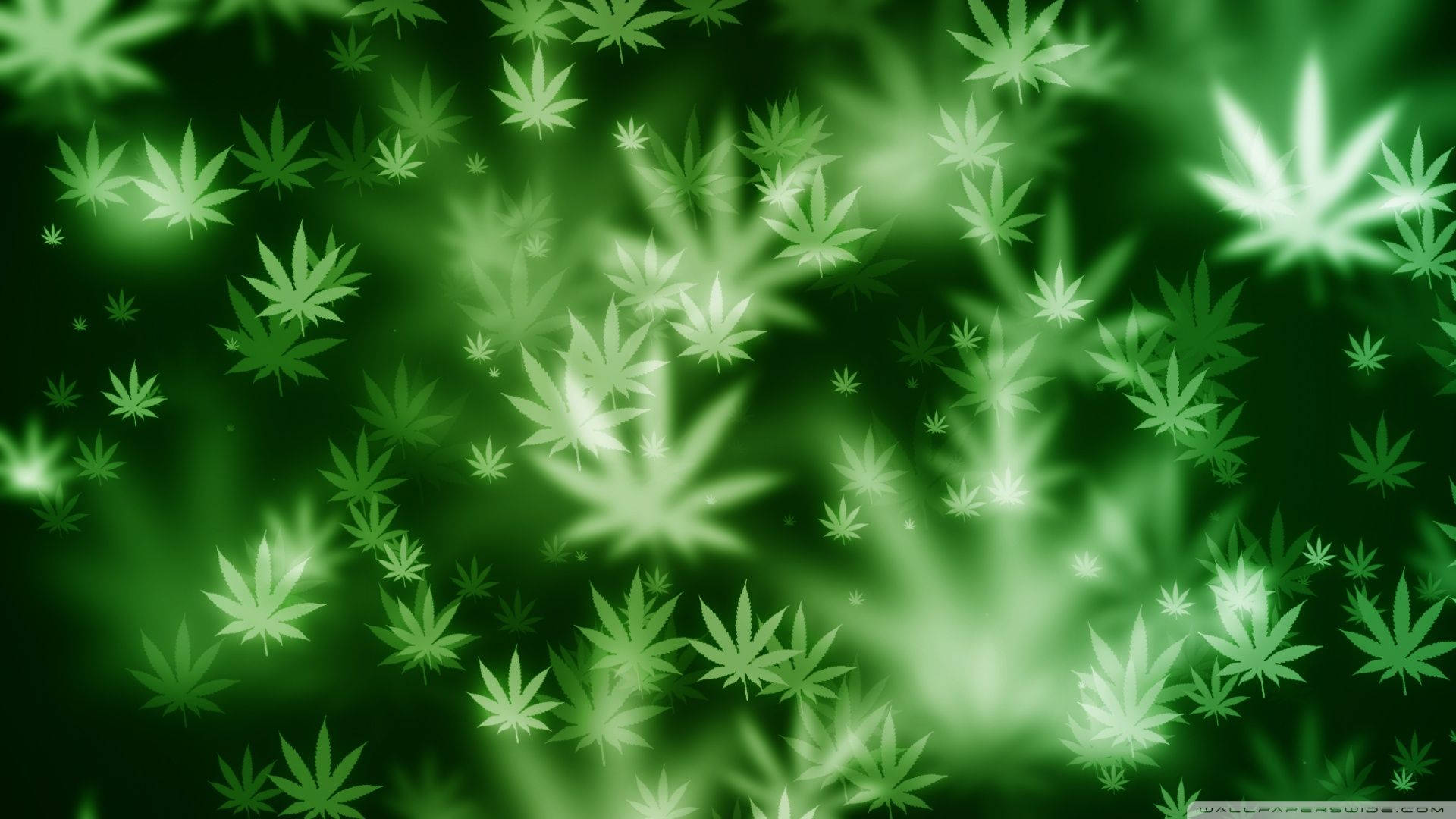 Weed Leaf 桌布 壁紙 — 發光的綠色大麻葉漂浮在帶有明亮高光和模糊邊緣的柔和漸變背景上。