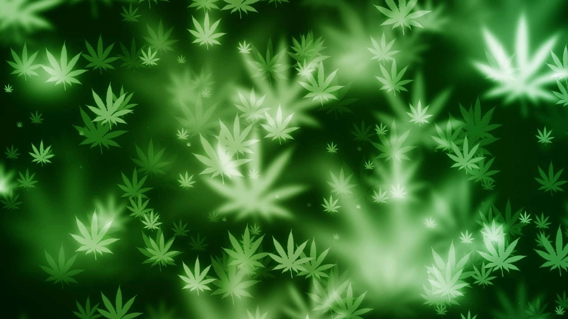 大麻 桌布 壁紙 — 發光的綠色大麻葉漂浮在柔和的漸變背景中，帶有明亮的高光和模糊的邊緣。