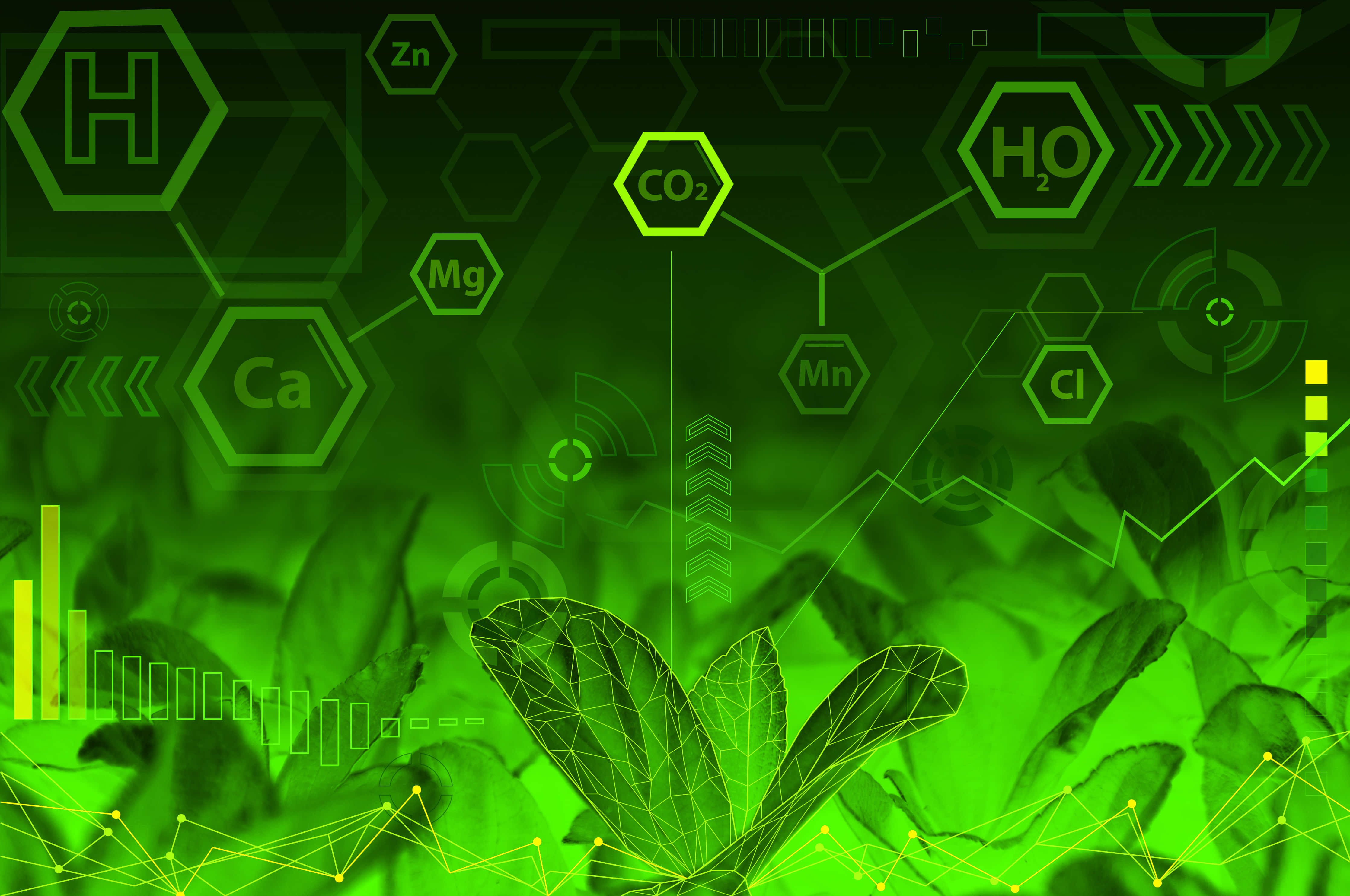 Green Chemistry 桌布 壁紙 — 發光的綠色數位覆蓋層，包含化學符號和數據圖表，懸浮在植物葉片上方，呈現未來主義的科學可視化效果。