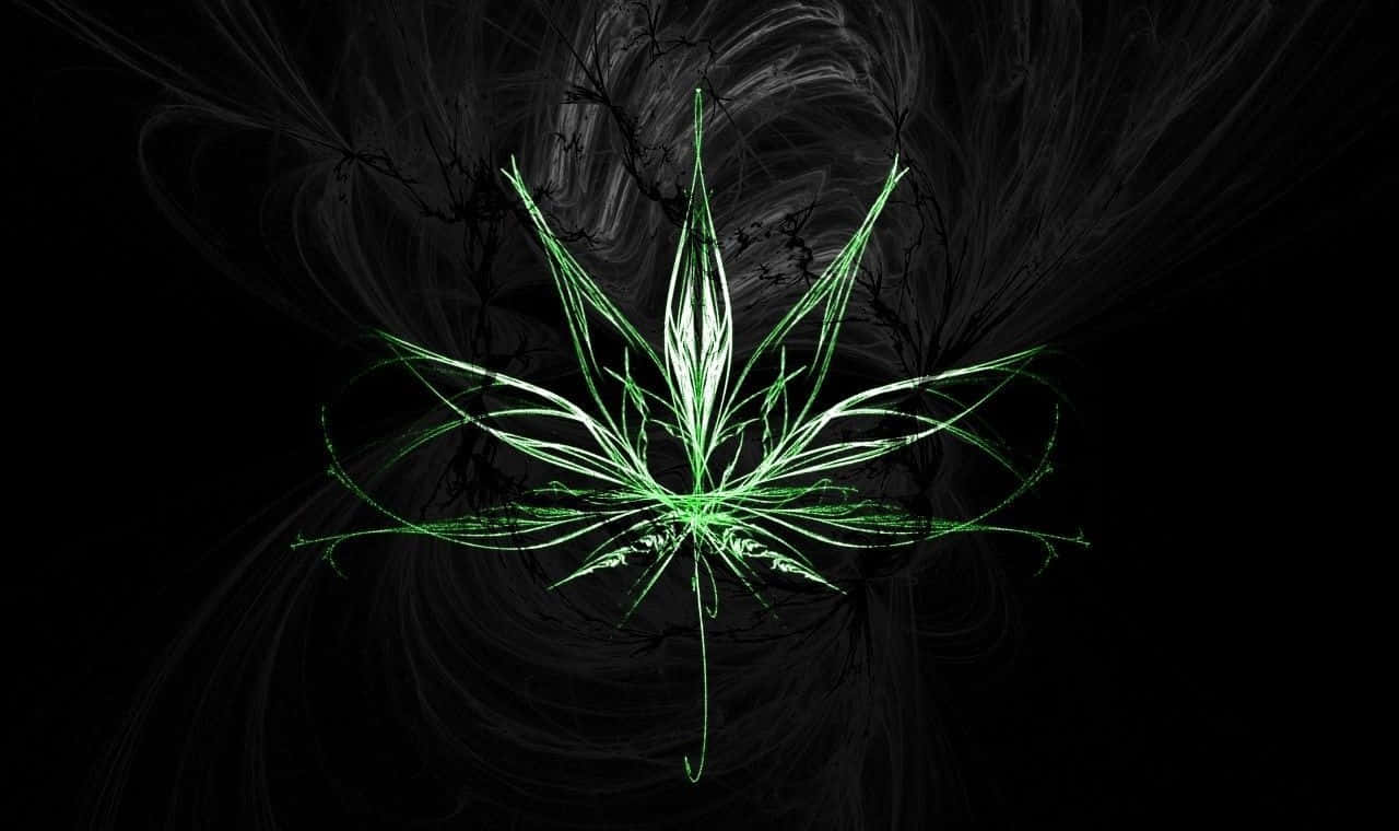 大麻 桌布 壁紙 — 發光的綠色碎形大麻葉在旋轉的黑灰色抽象背景中散發光芒。