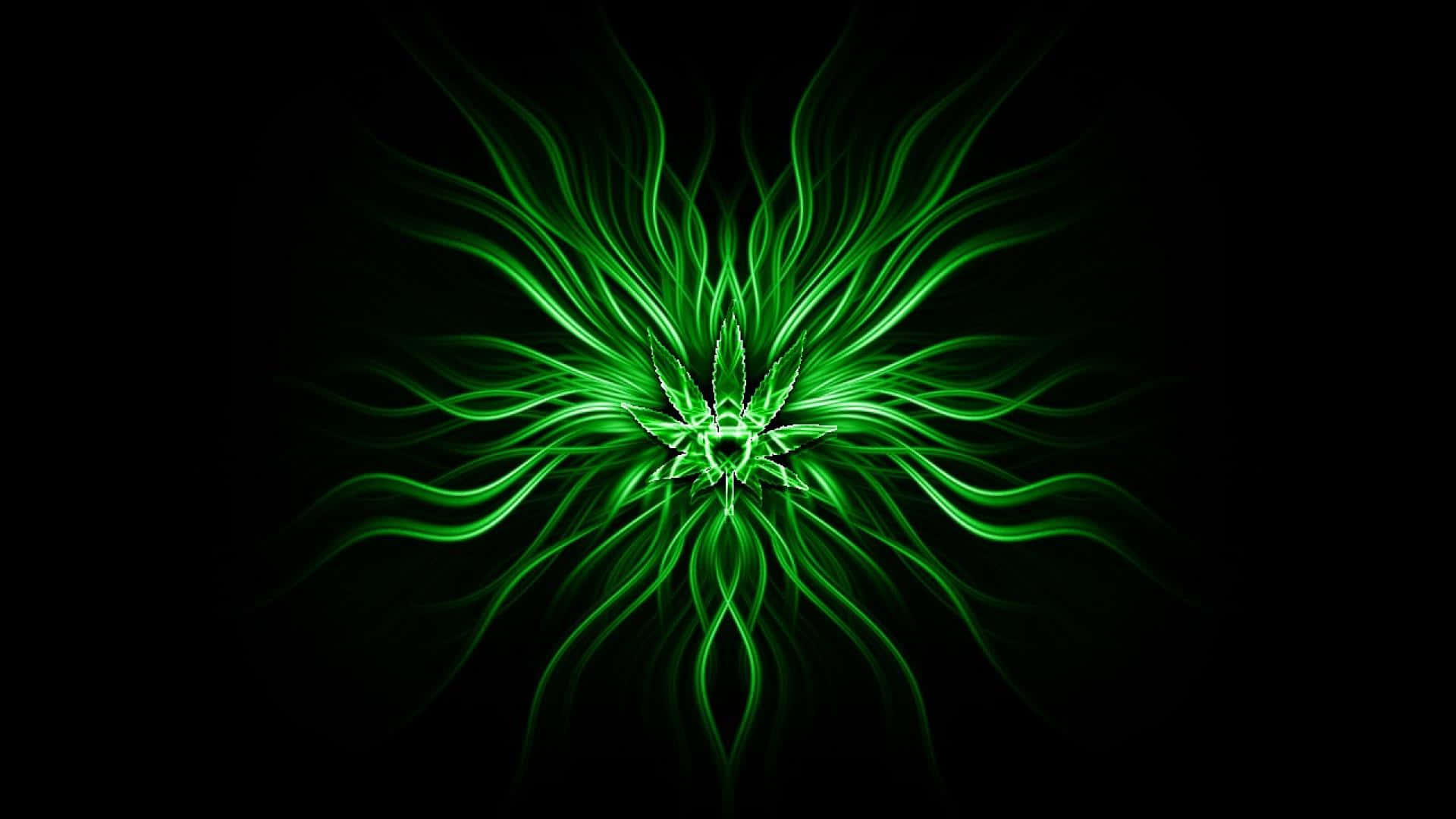 大麻 桌布 壁紙 — 發光的綠色碎形大麻葉在純黑色背景上散發出電光般的卷鬚。