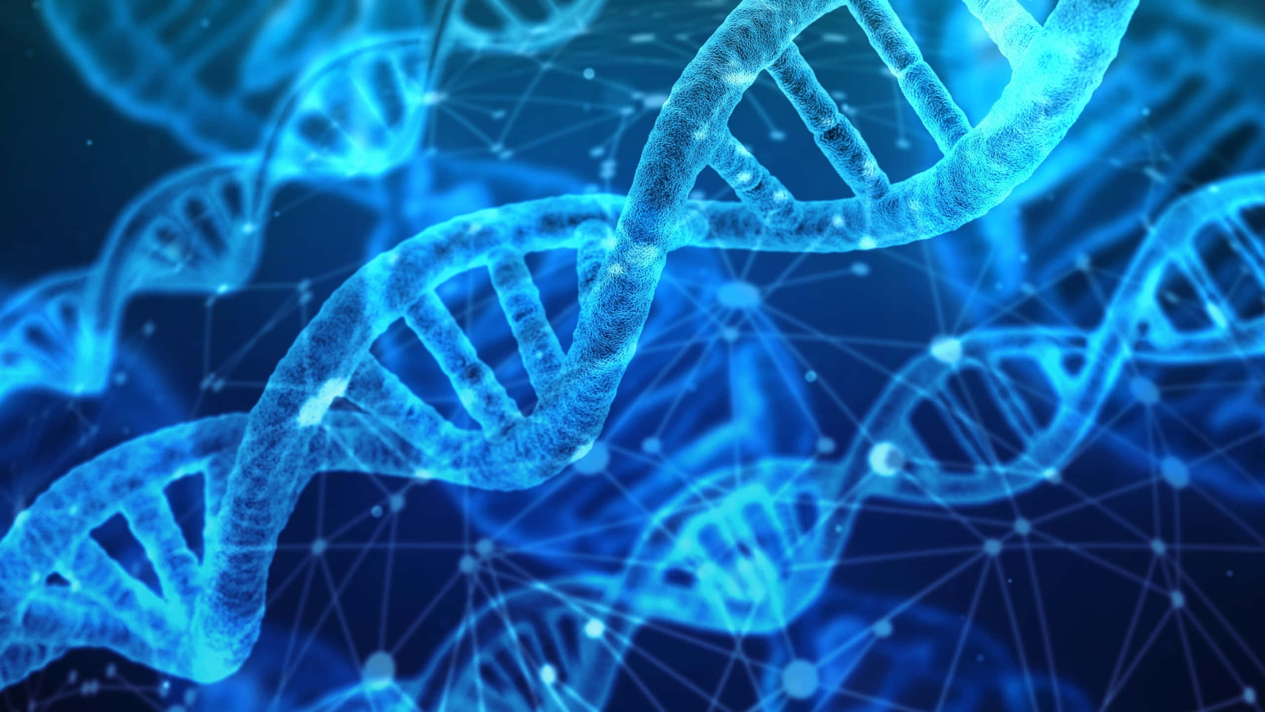 dna 桌布 壁紙 — 發光的藍色DNA雙螺旋與數位網路交織在黑暗背景上。