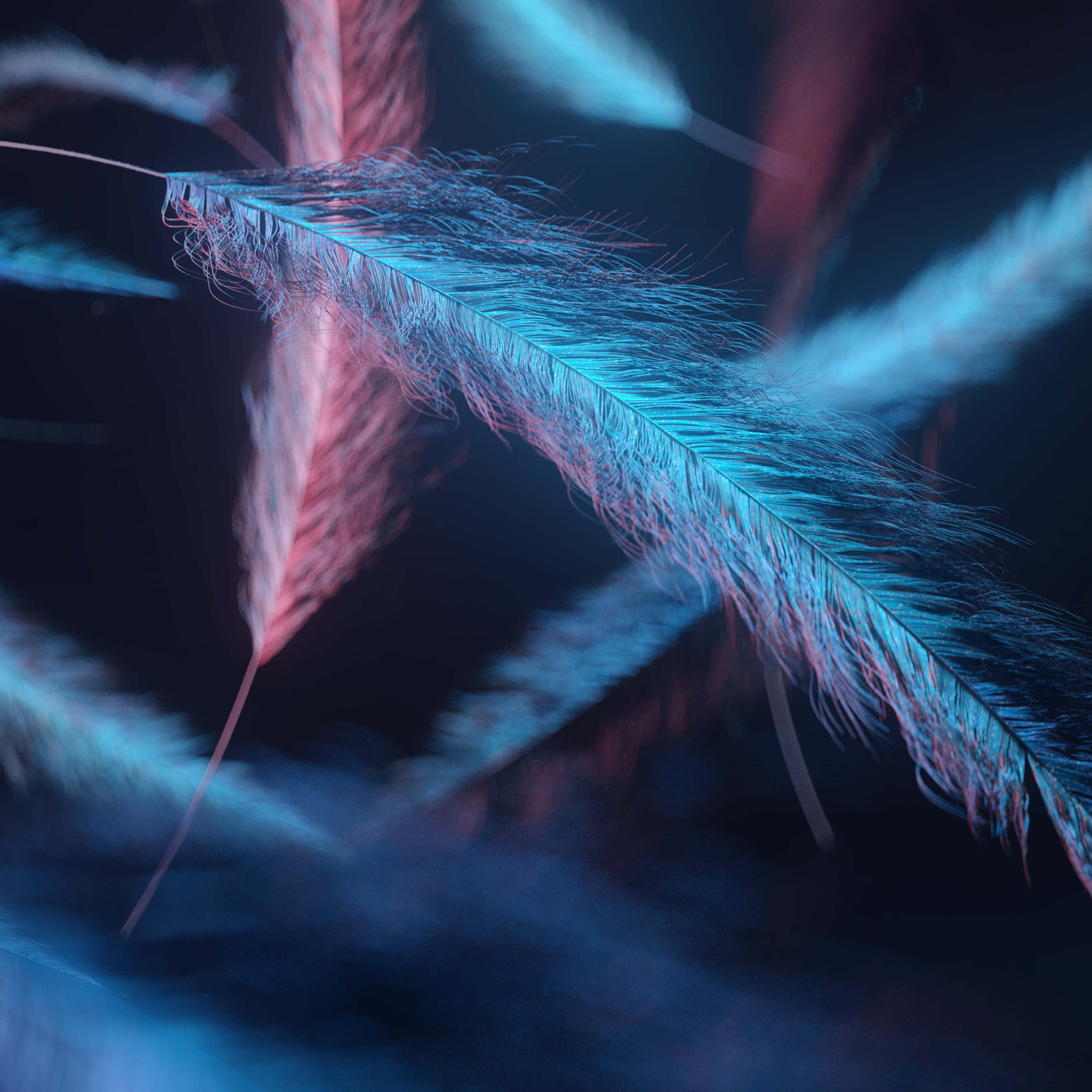 Feather 桌布 壁紙 — 發光的藍色和粉紅色羽毛在黑暗空間中漂浮，帶有柔和動態模糊和鮮豔霓虹燈光。