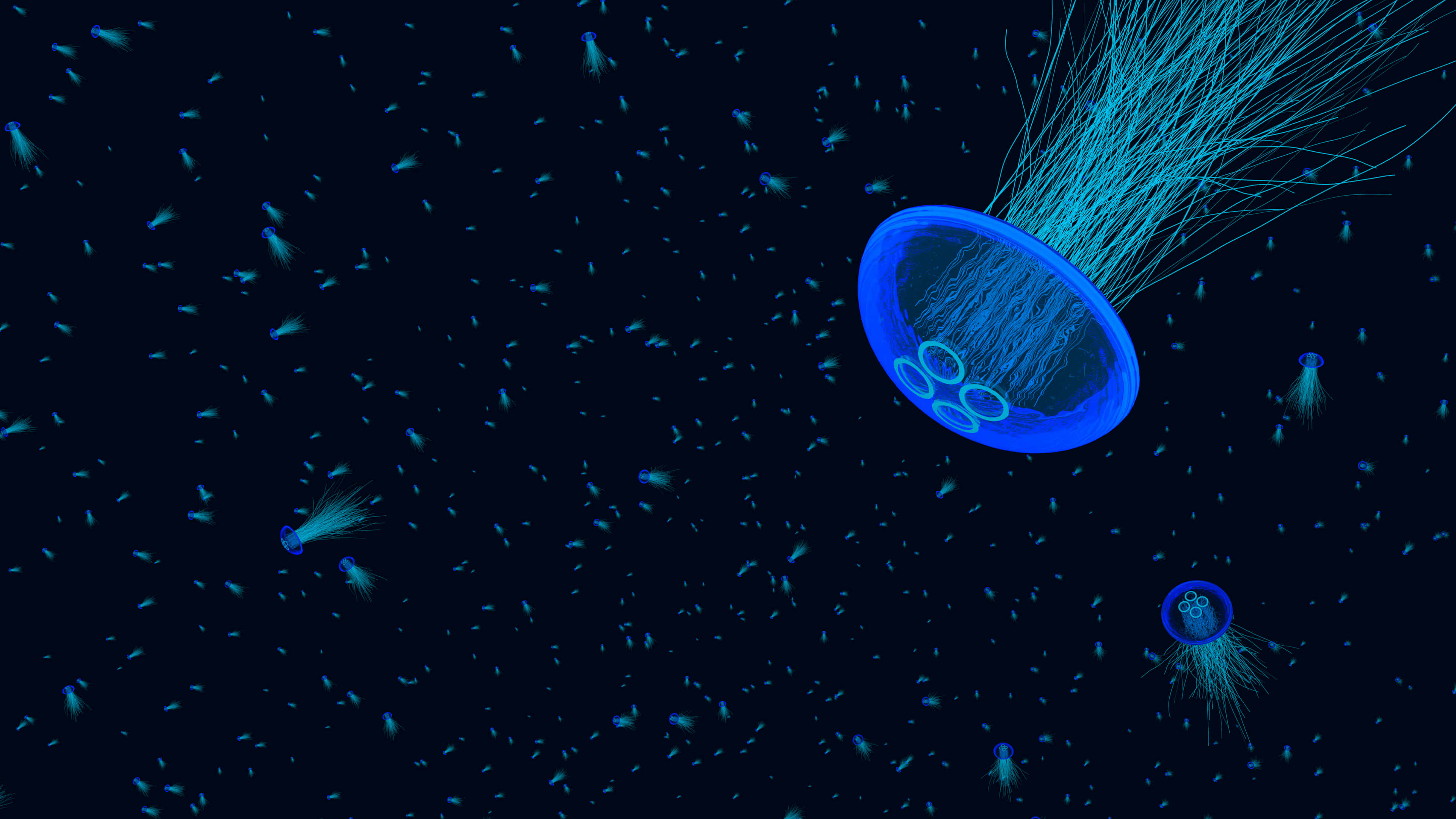 4K Jellyfish 桌布 壁紙 — 發光的藍色水母在黑暗的海水中漂流，周圍環繞著微小的生物發光生物。