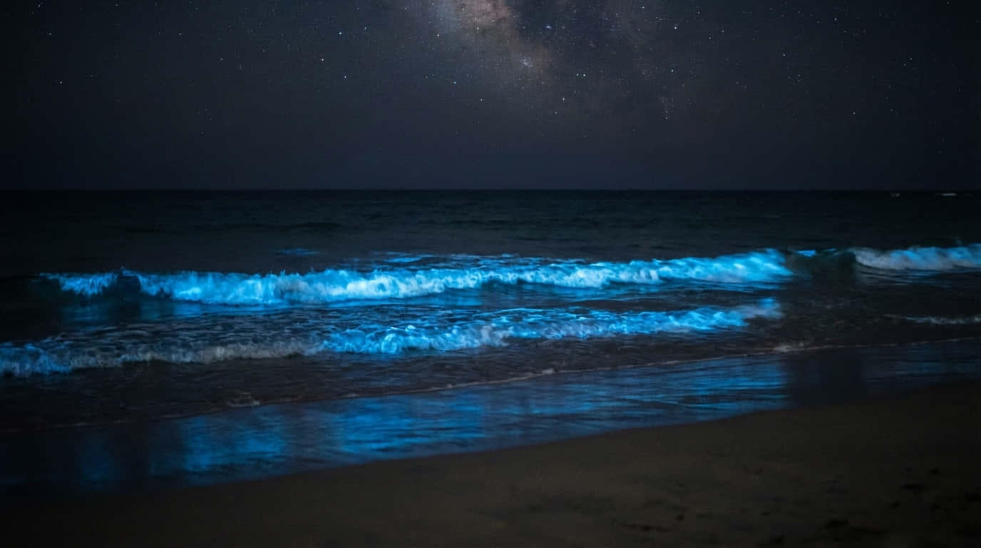 自然 桌布 壁紙 — 發光的藍色波浪在黑暗的沙灘上破碎，夜空繁星點點，銀河清晰可見。