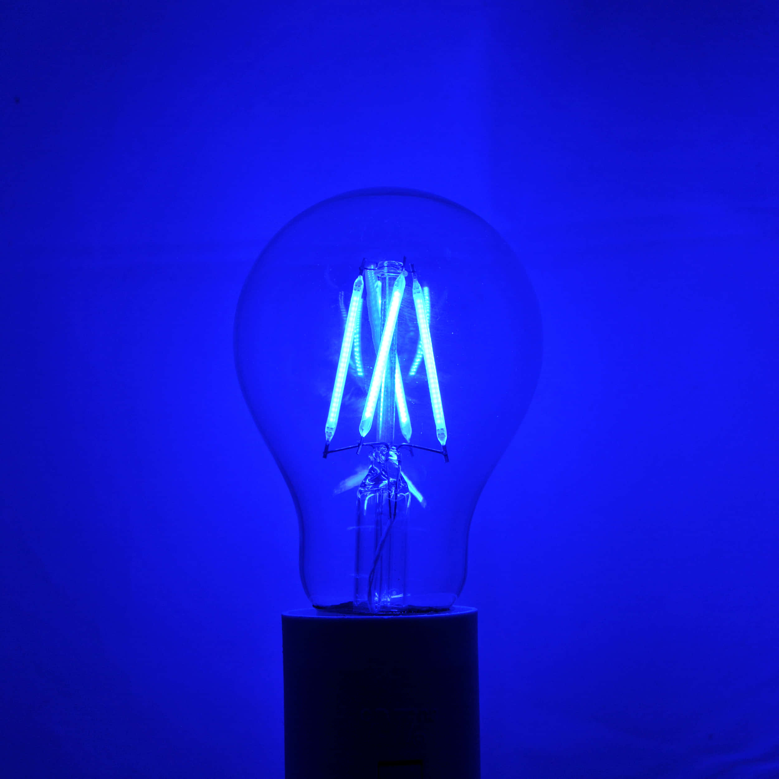 Blue Light 桌布 壁紙 — 發光的藍色燈絲燈泡在純藍色背景上發出冷光。