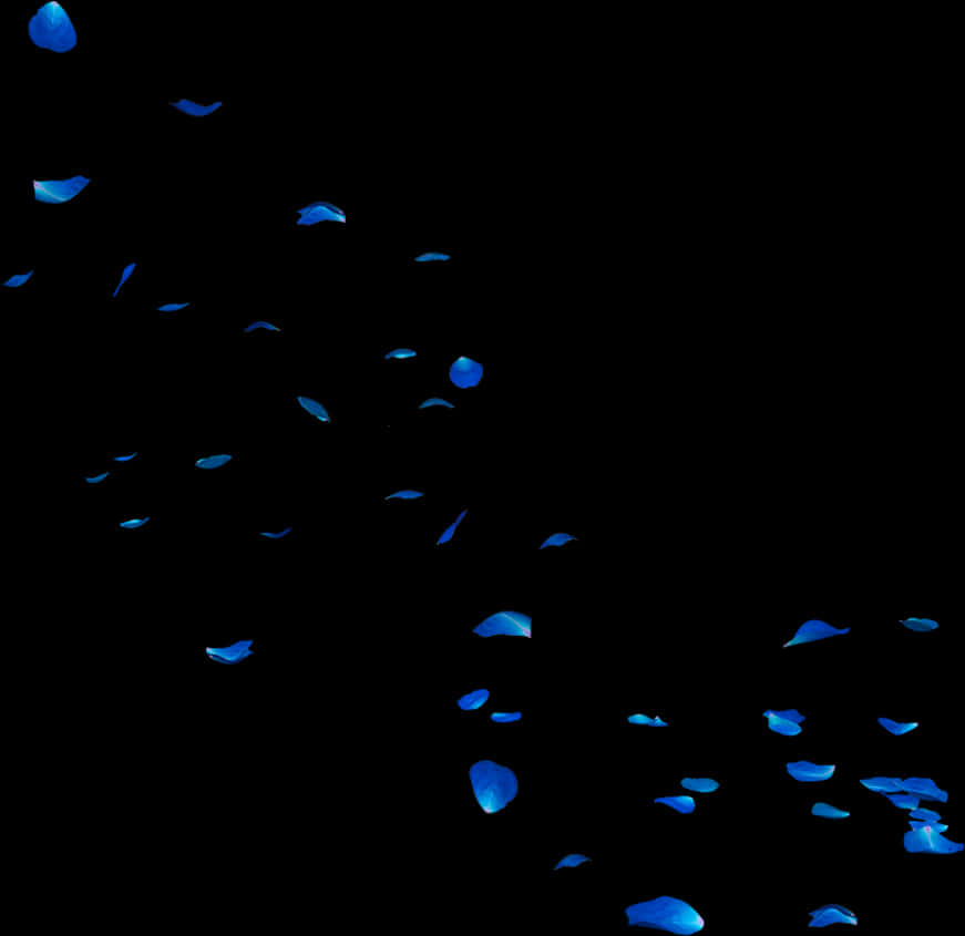 Rose Petals Falling 桌布 壁紙 — 發光的藍色花瓣在絕對黑暗中飄浮，呈現寧靜而神秘的浮動姿態。