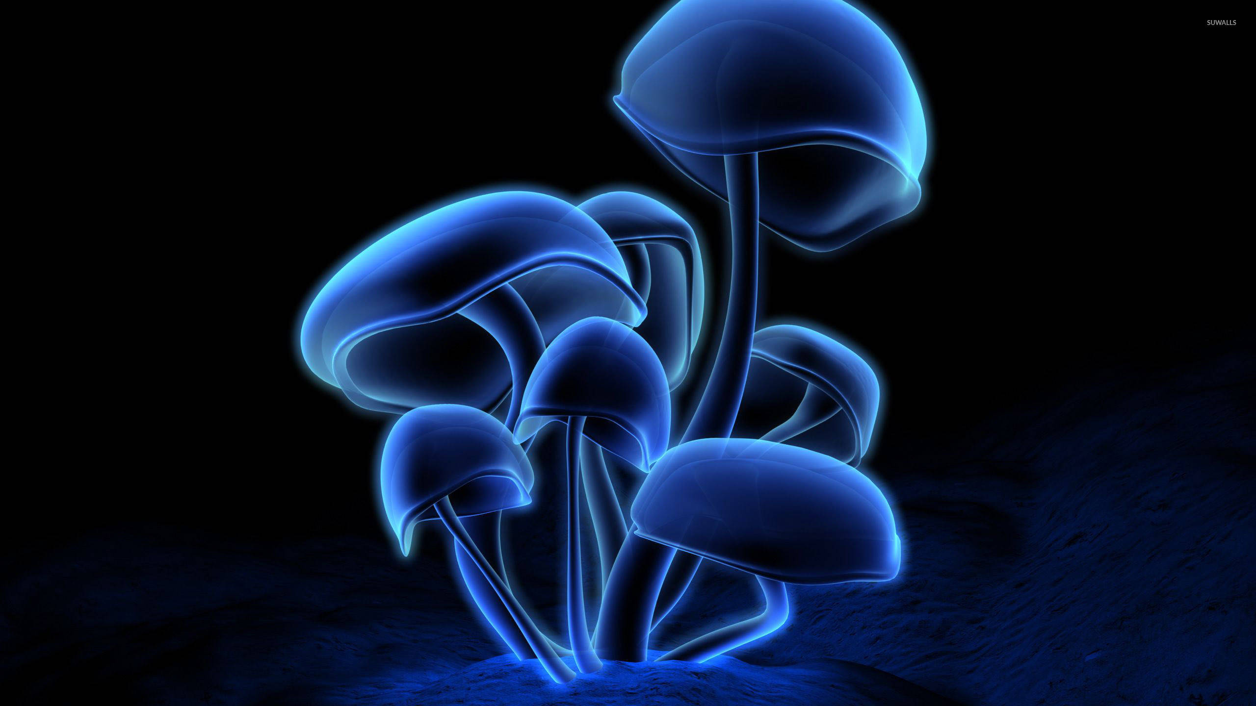 Mushroom Aesthetic 桌布 壁紙 — 發光的藍色蘑菇，帶有半透明的菌蓋和菌柄，在黑暗的紋理地面上散發光芒。